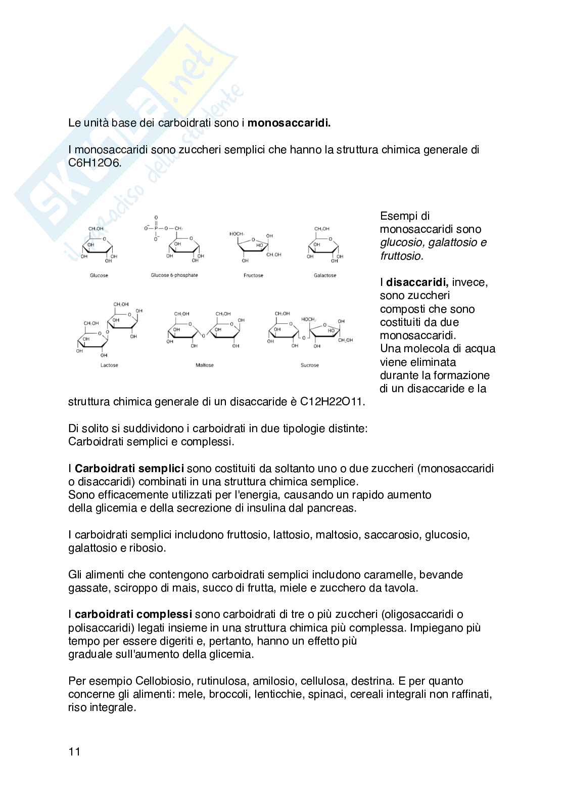 Appunti di Fisiologia umana  Pag. 11