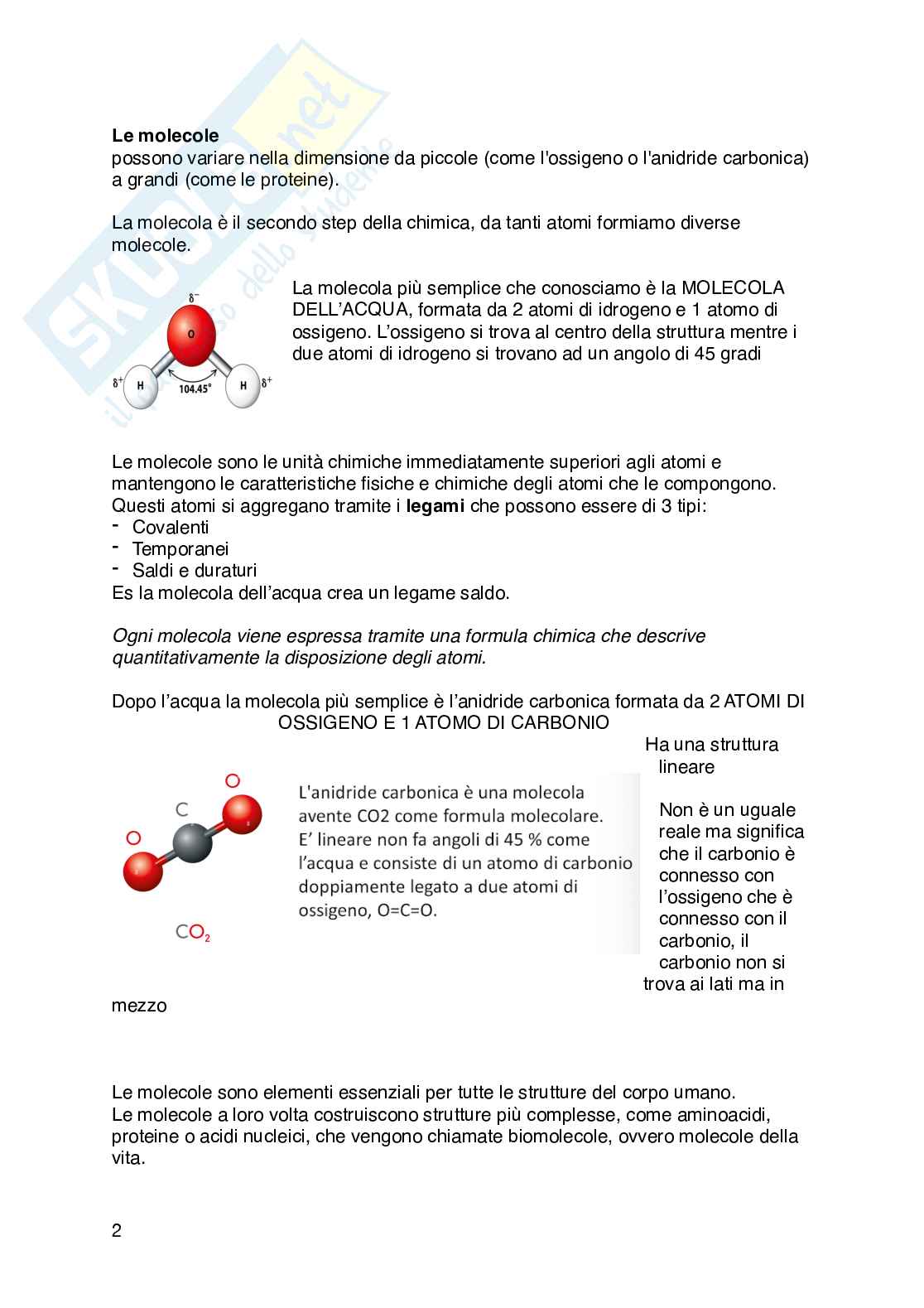 Appunti di Fisiologia umana  Pag. 2
