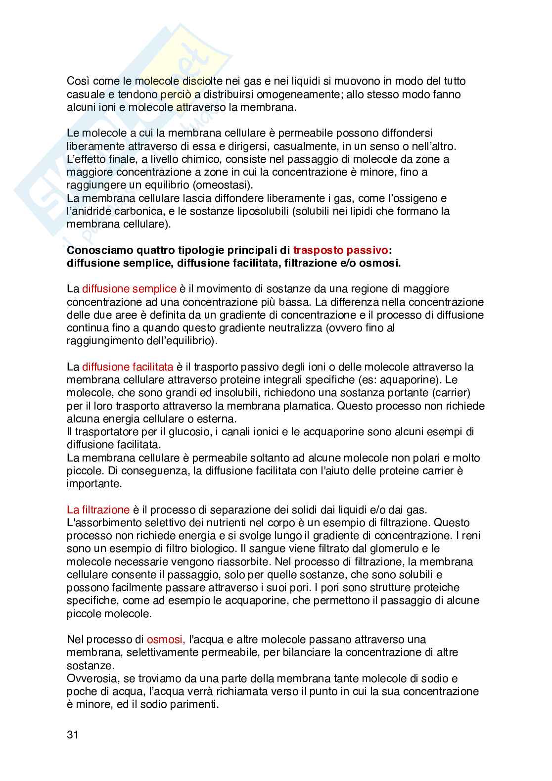 Appunti di Fisiologia umana  Pag. 31
