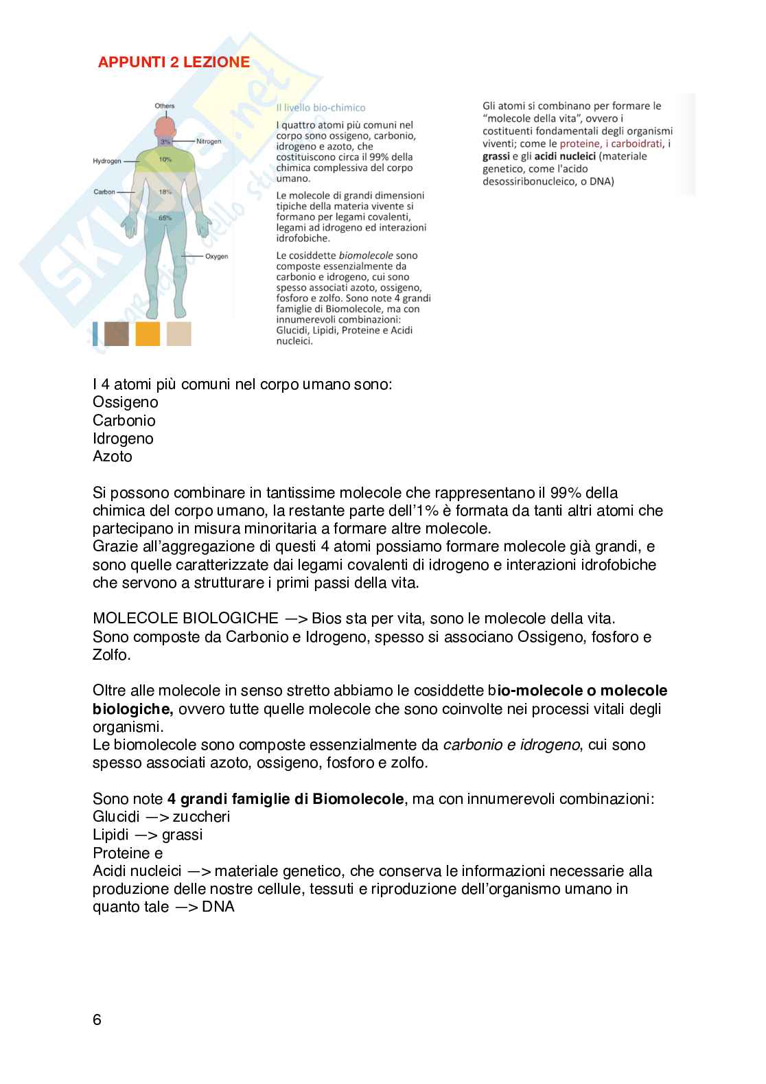 Appunti di Fisiologia umana  Pag. 6