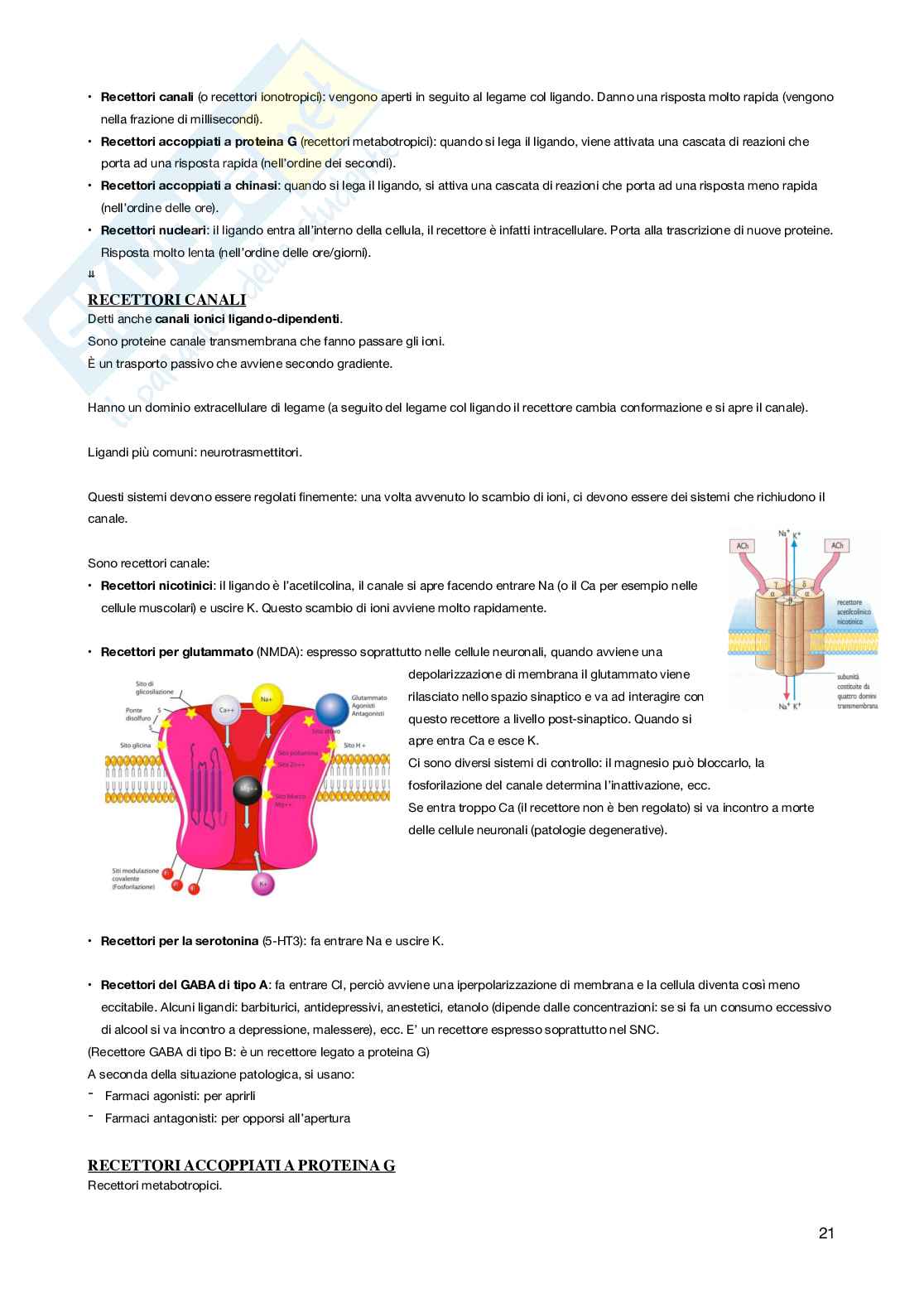Farmacologia e Farmacognosia - Appunti Pag. 21