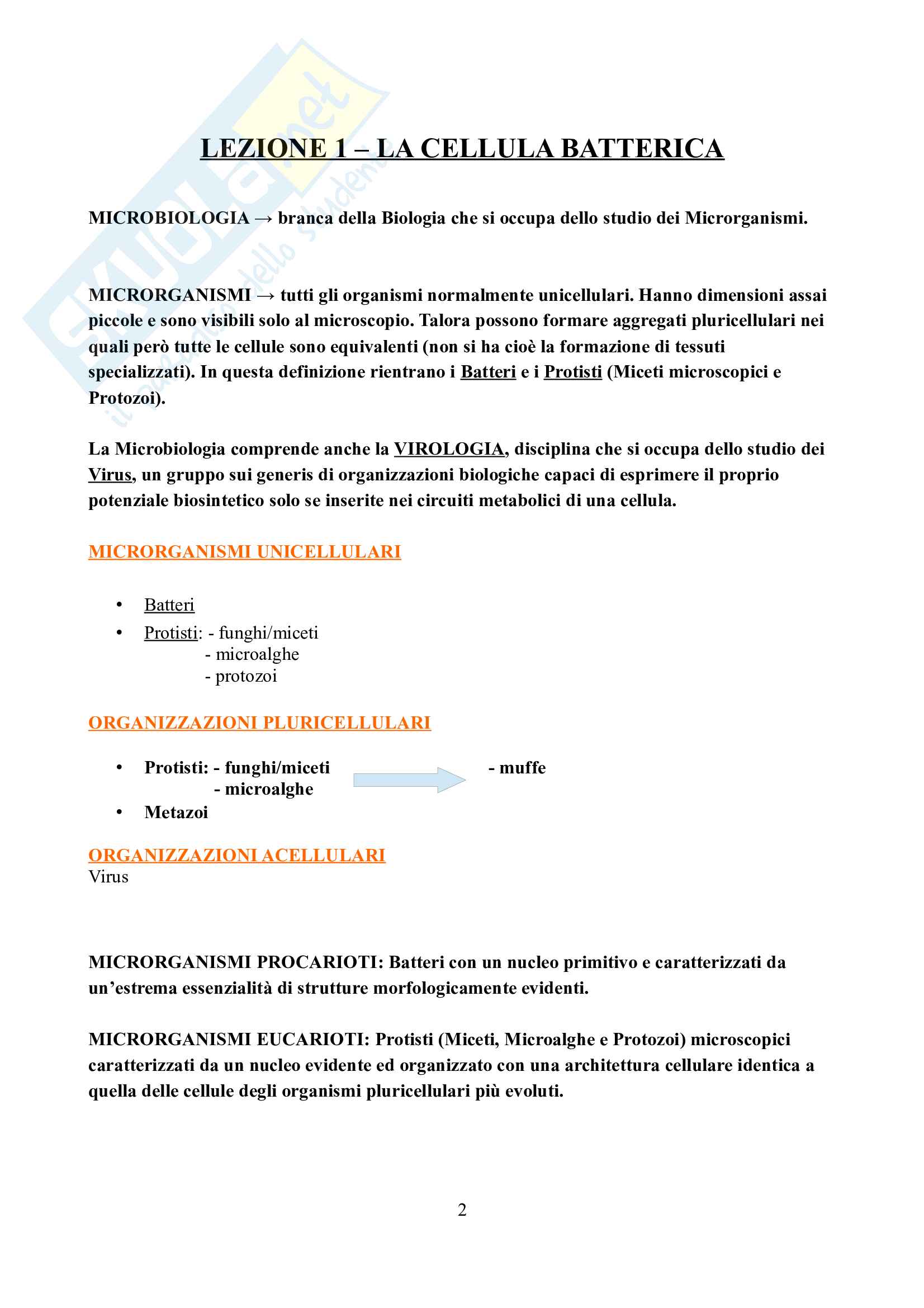 Microbiologia medica Pag. 2