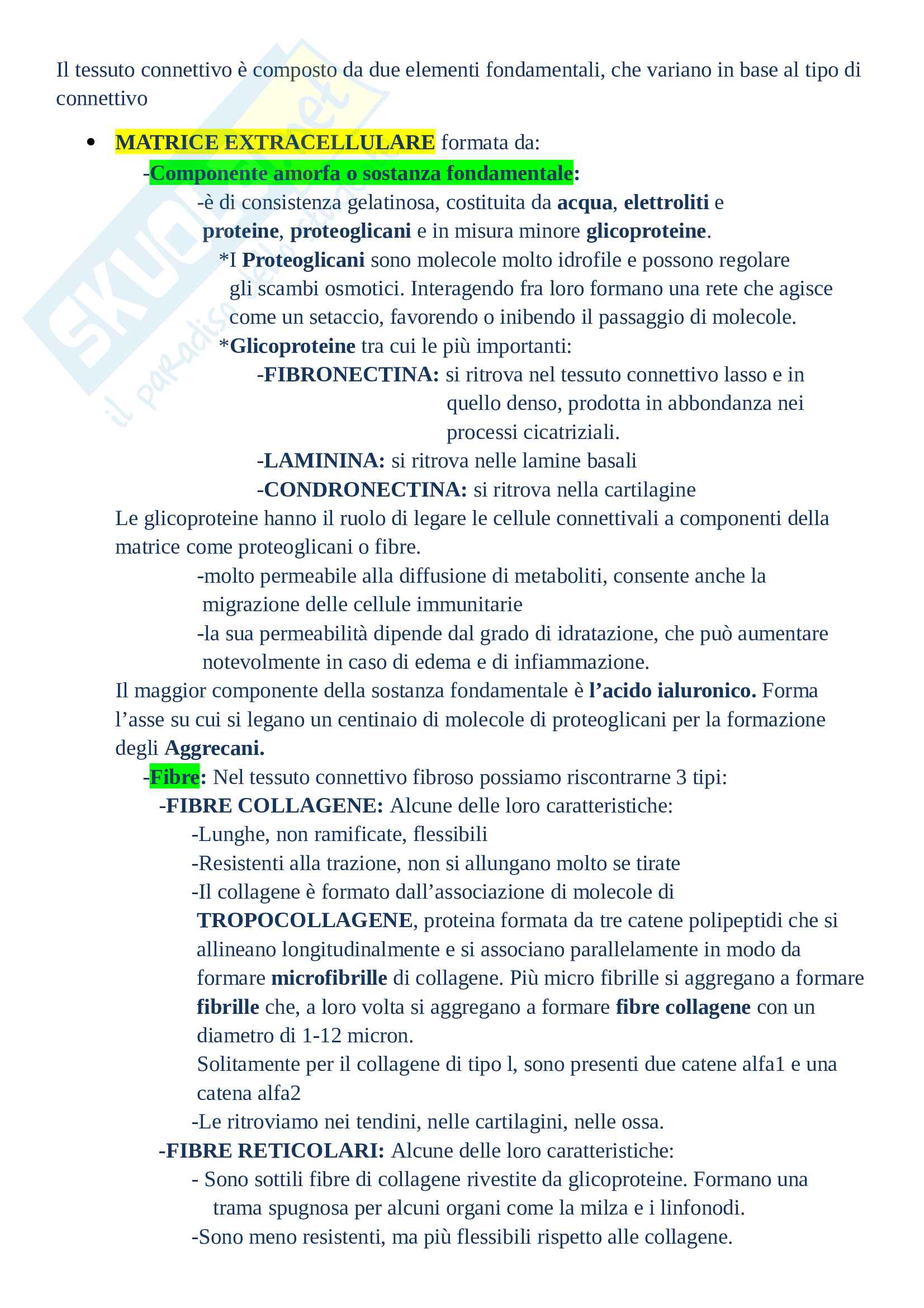 Tessuto connettivo Pag. 16