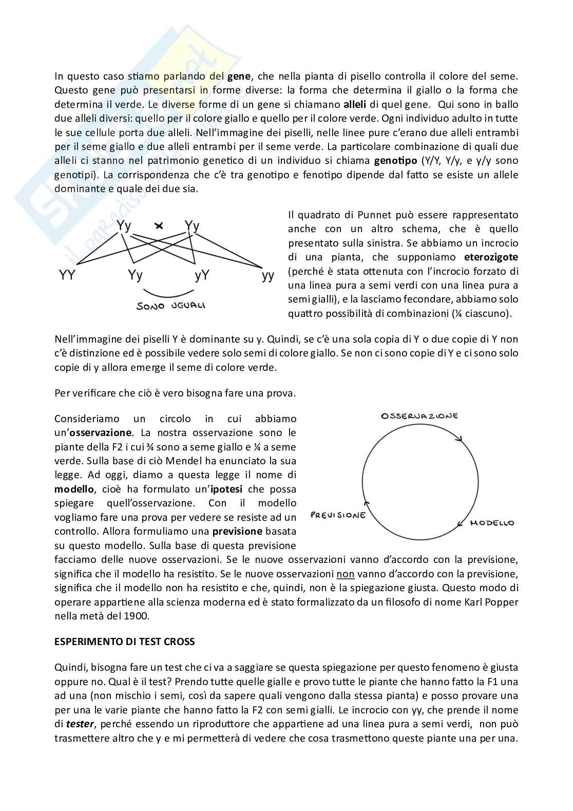 Genetica Pag. 11