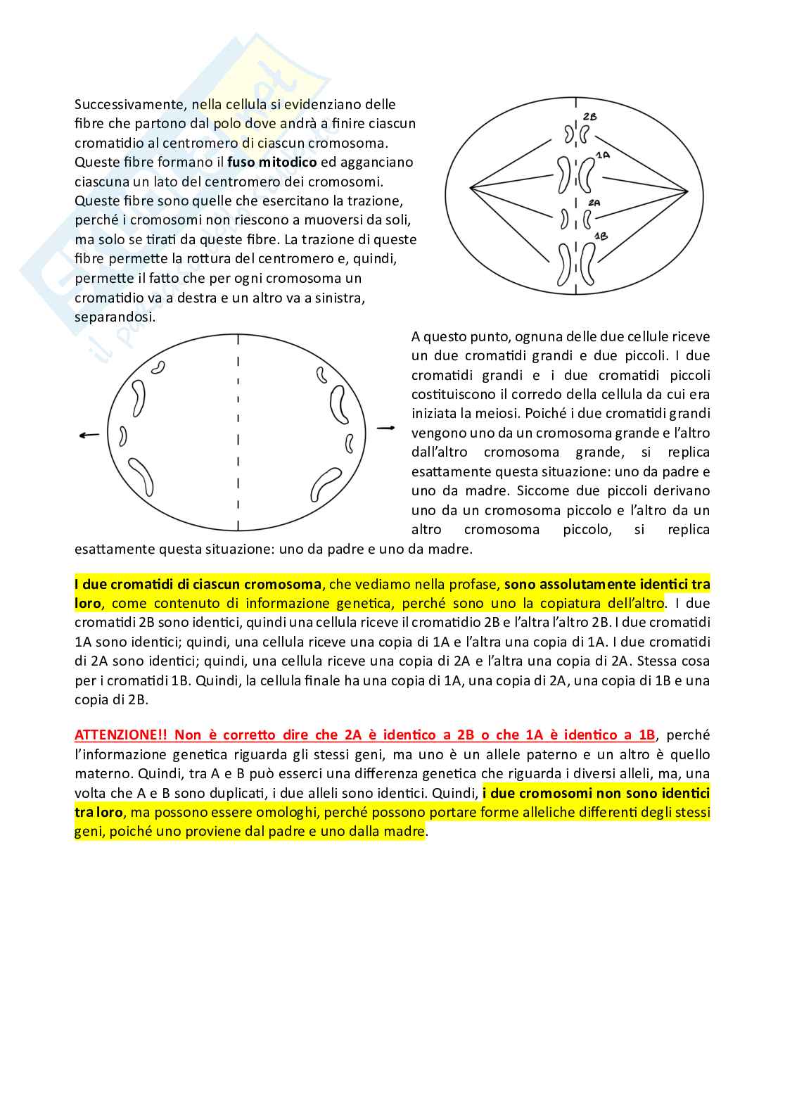 Genetica Pag. 21