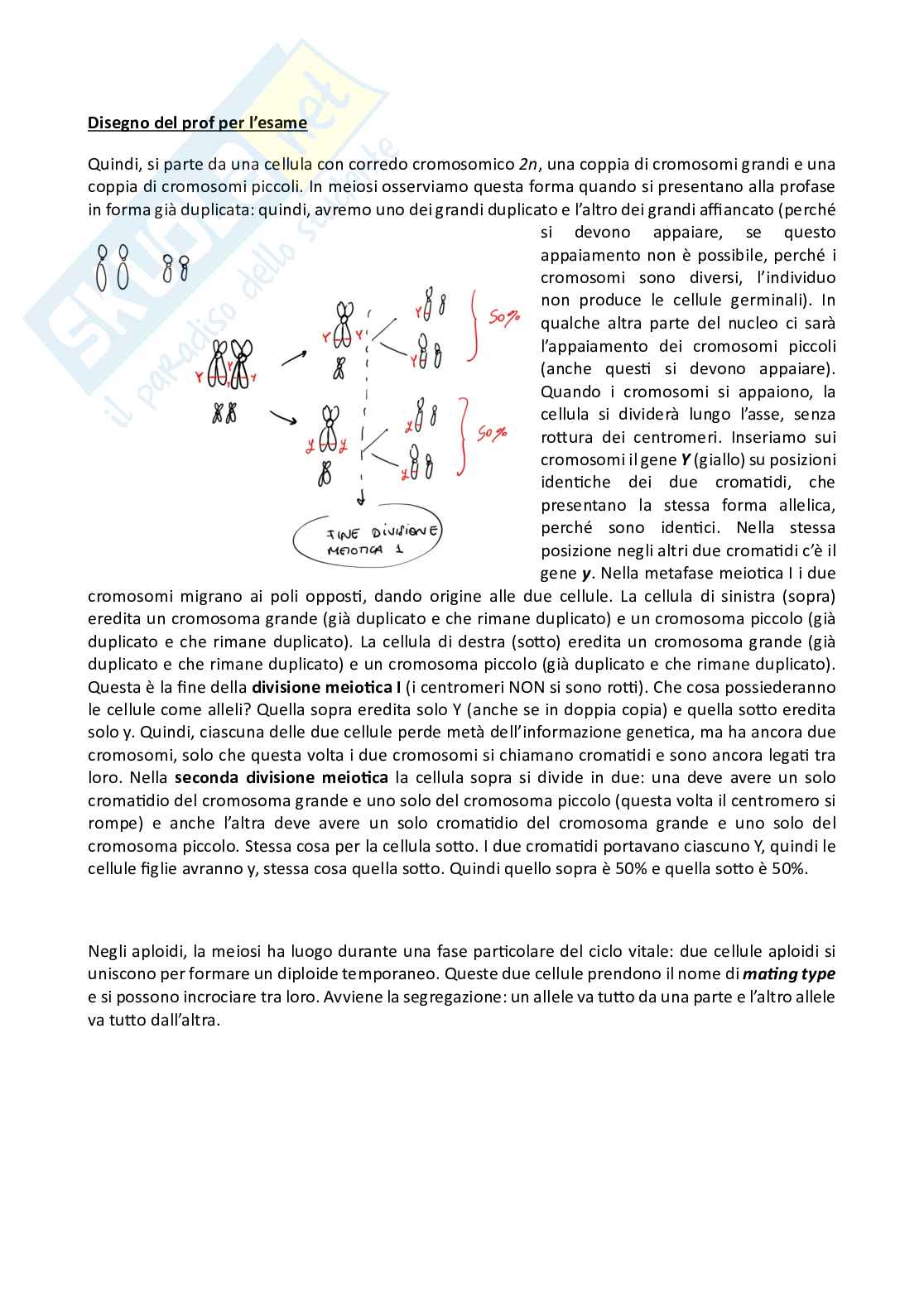 Genetica Pag. 26