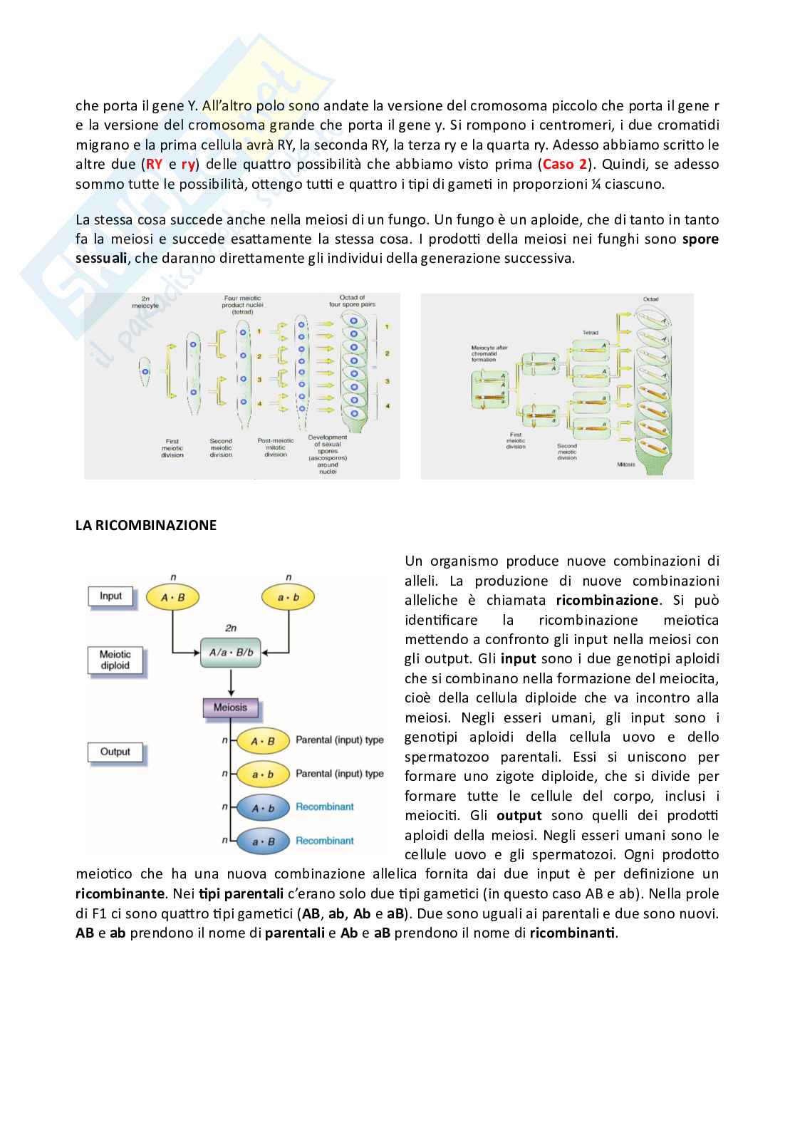 Genetica Pag. 41