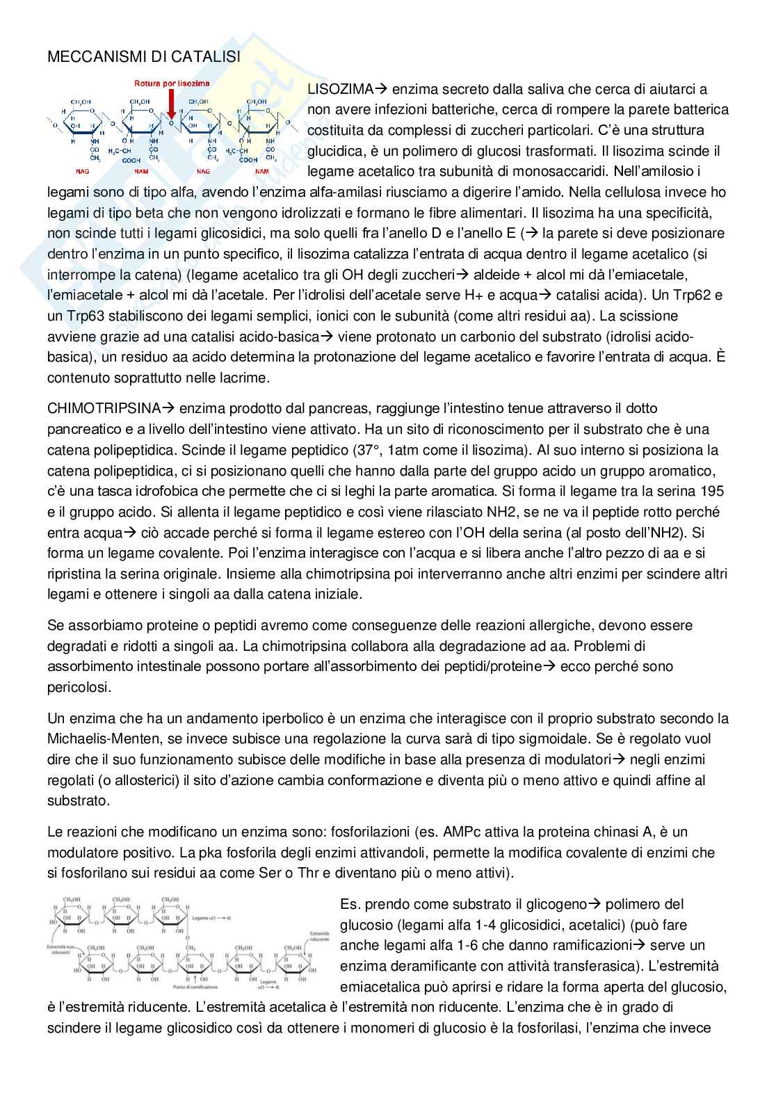 Biochimica generale  Pag. 11
