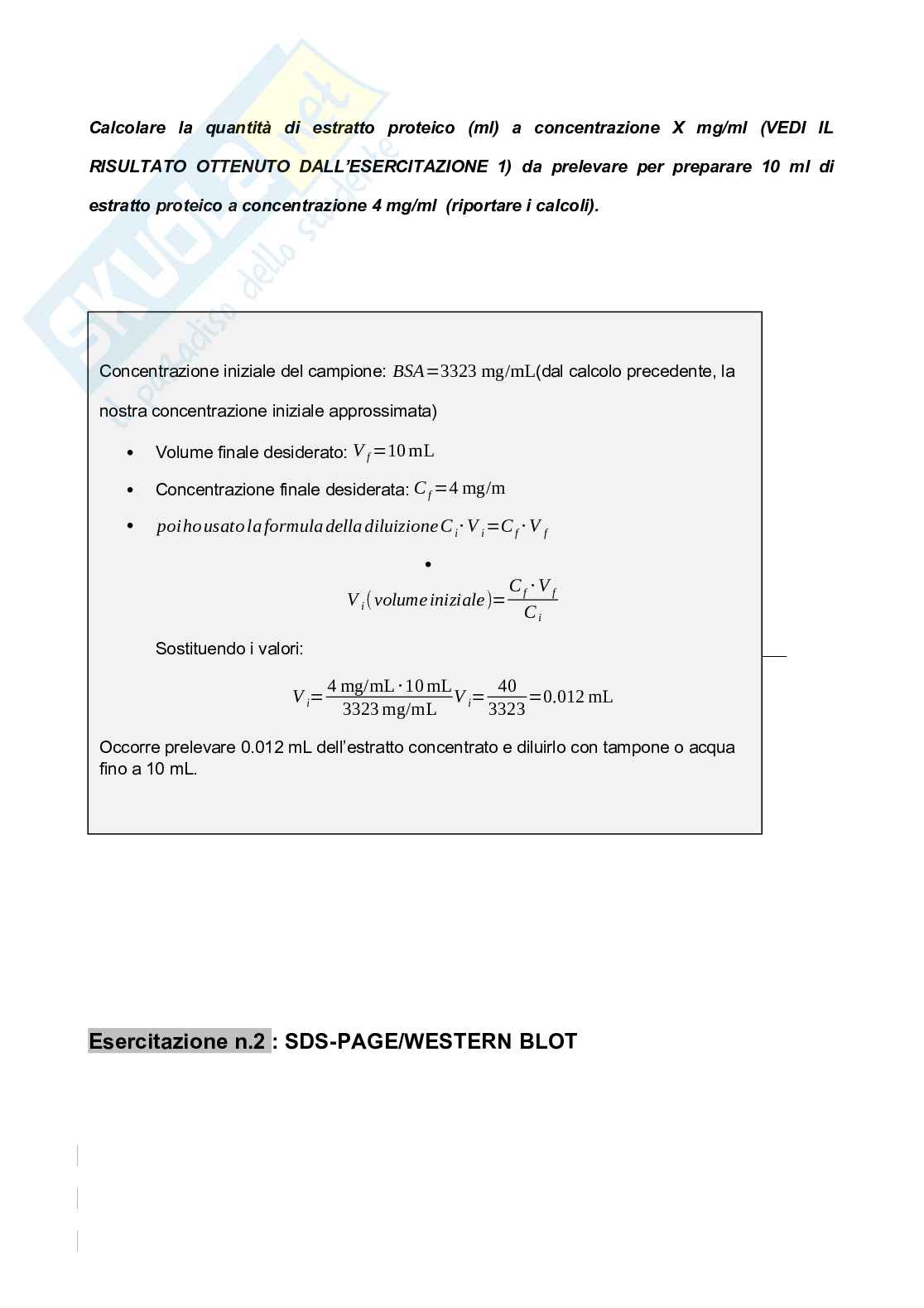 Nuova relazione laboratorio di Biochimica, 2026 Pag. 6
