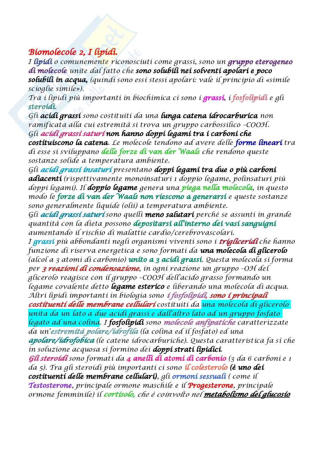 Appunti di Biologia molecolare Pag. 11