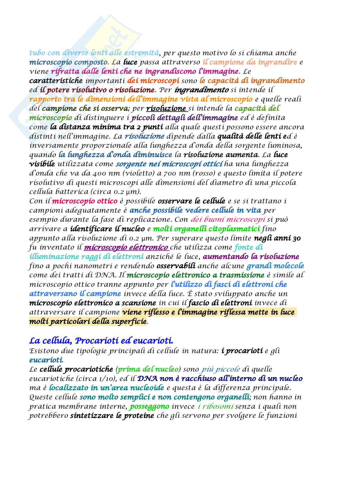 Appunti di Biologia molecolare Pag. 16