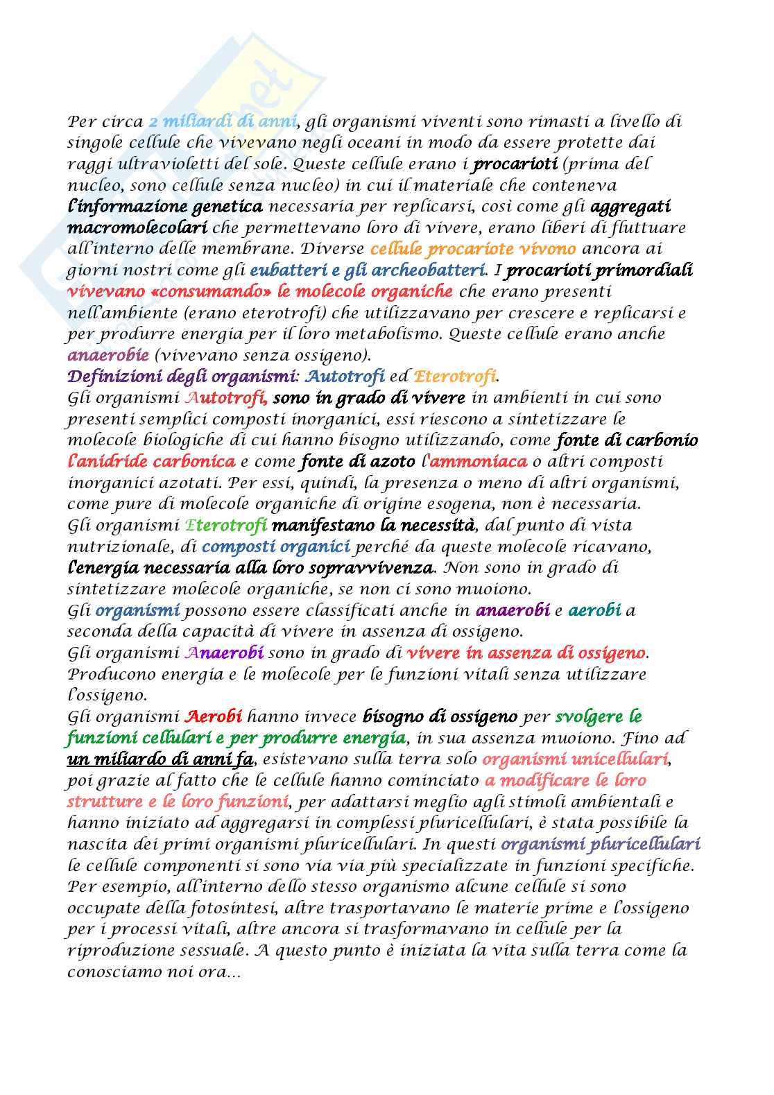 Appunti di Biologia molecolare Pag. 2