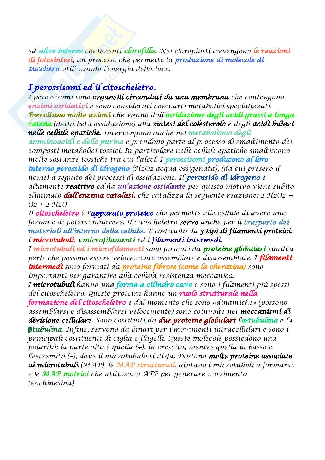 Appunti di Biologia molecolare Pag. 21