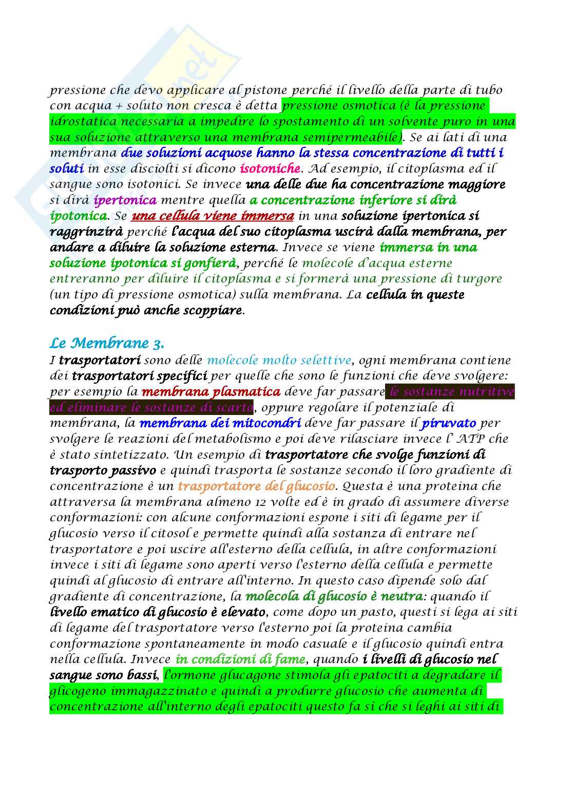 Appunti di Biologia molecolare Pag. 31