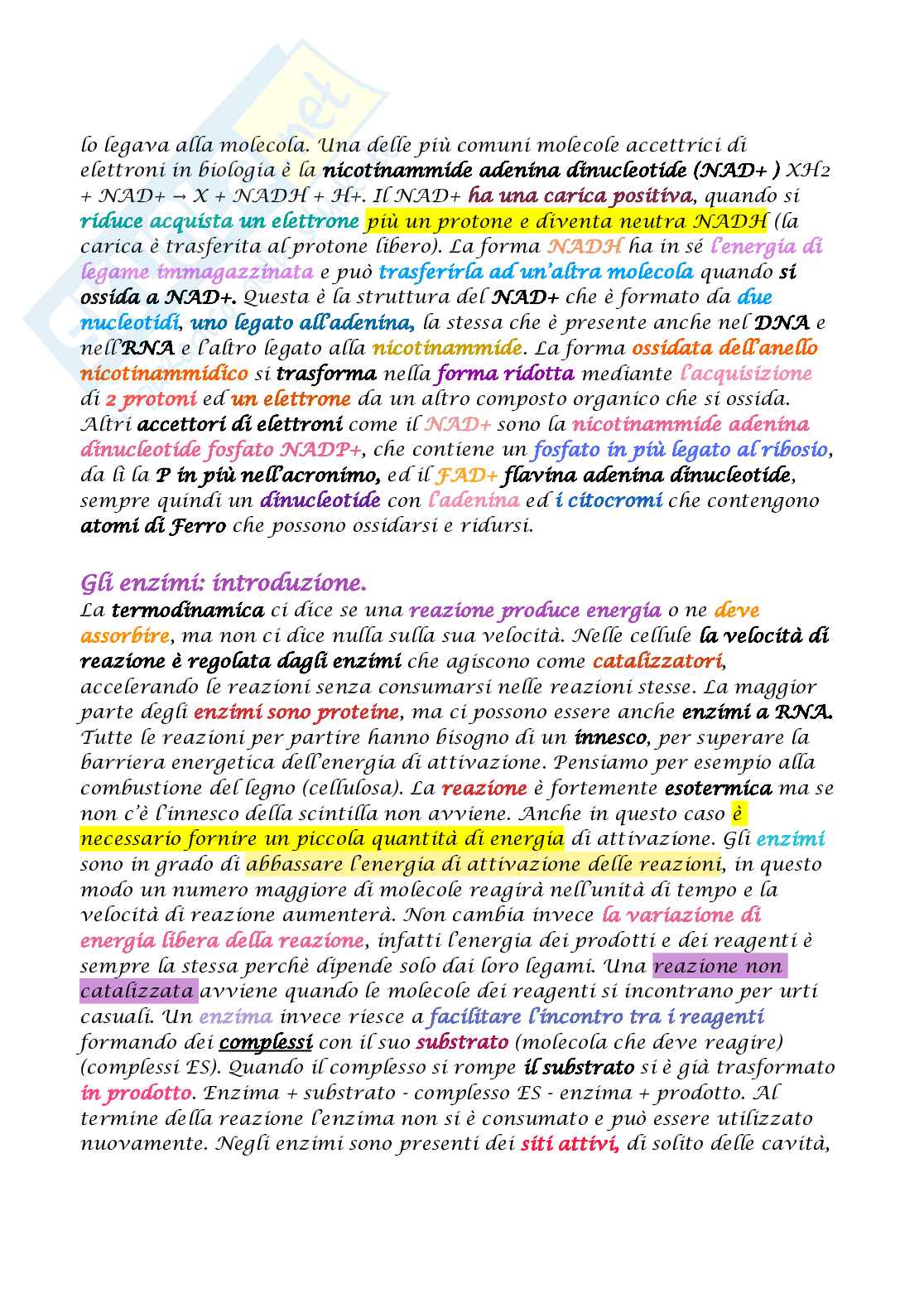 Appunti di Biologia molecolare Pag. 41