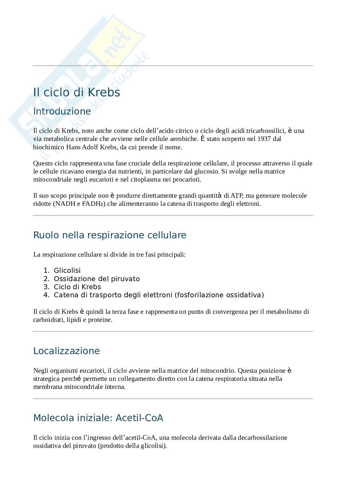 Appunti di Biochimica sul ciclo di Krebs  Pag. 1