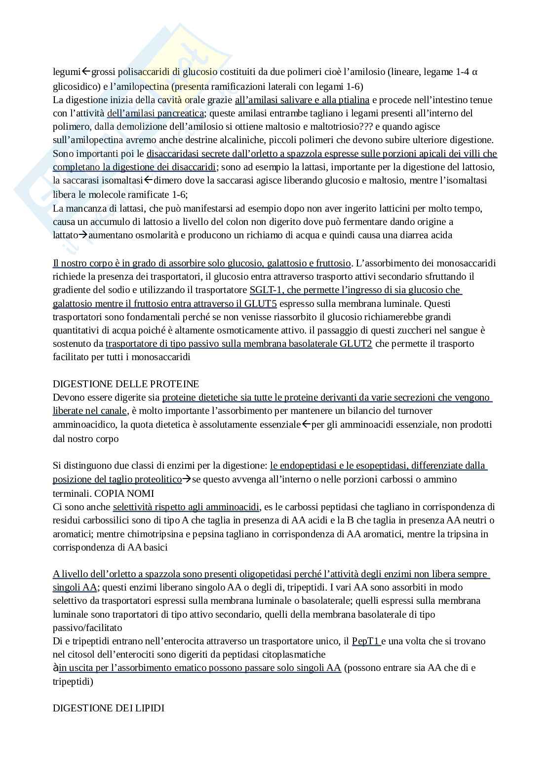 Appunti completi Fisiologia generale Pag. 86