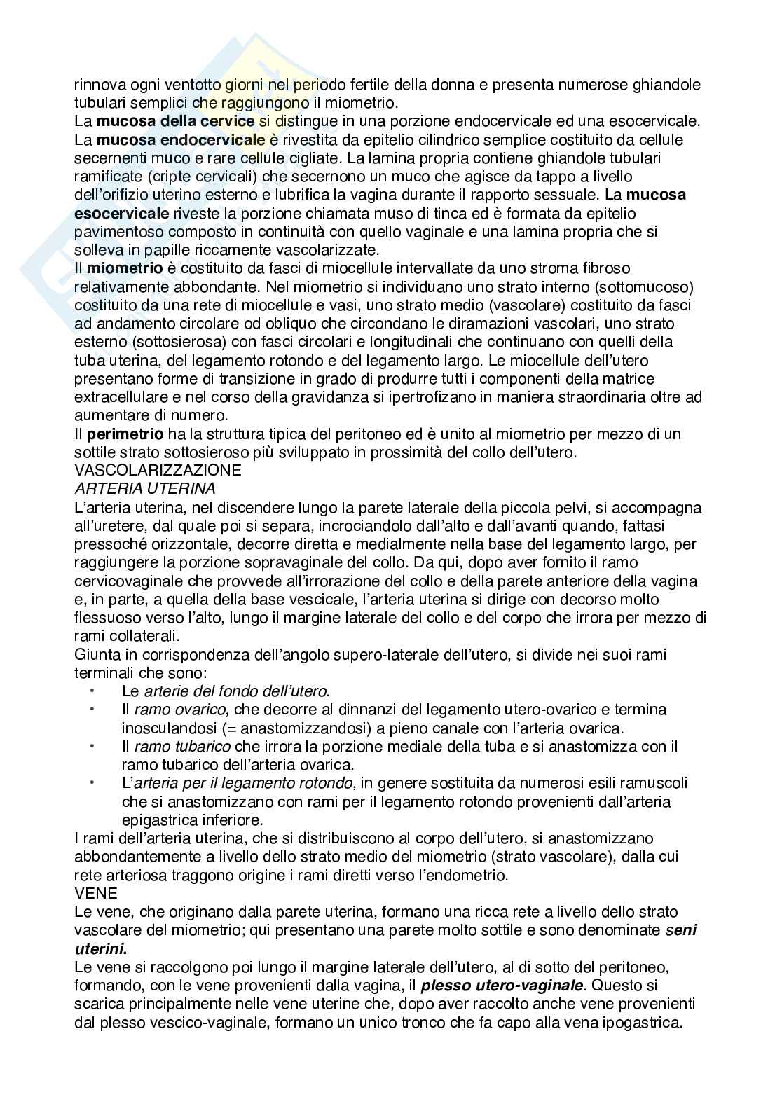Apparato genitale Pag. 26