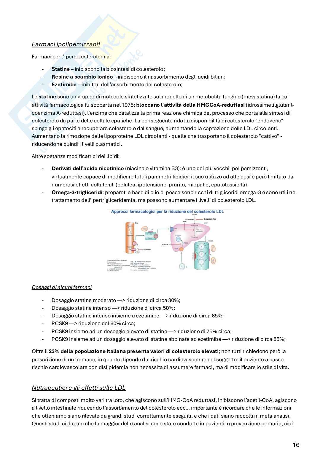 Principi di medicina e nutrizione Pag. 16