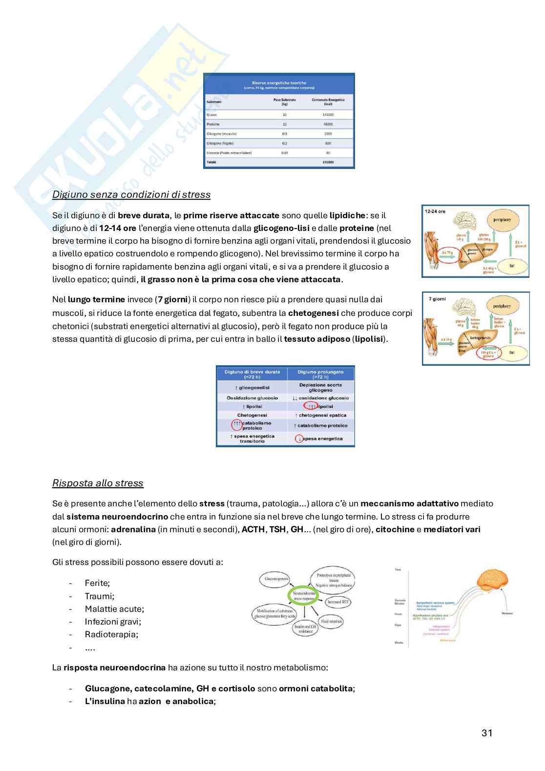 Principi di medicina e nutrizione Pag. 31