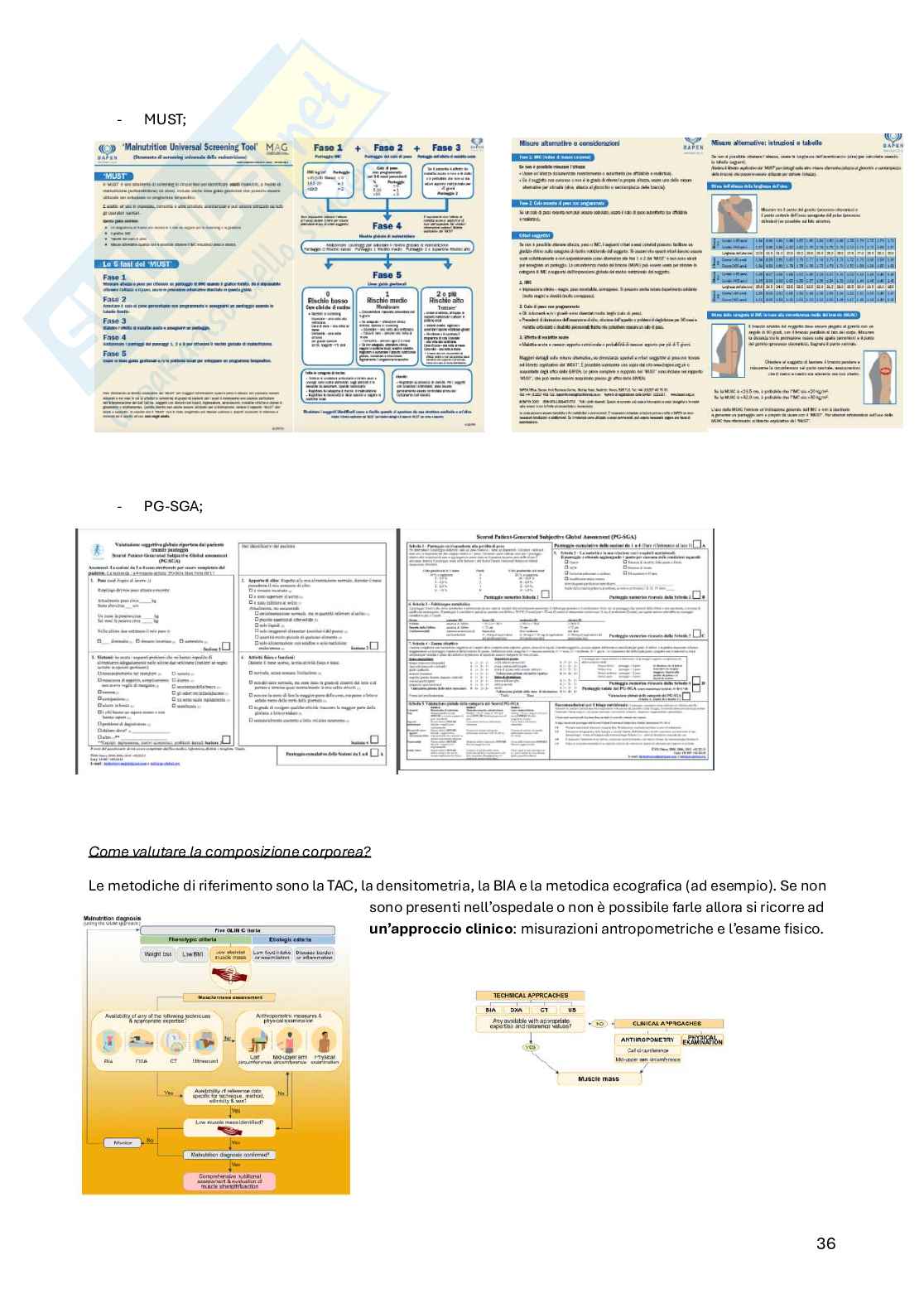 Principi di medicina e nutrizione Pag. 36