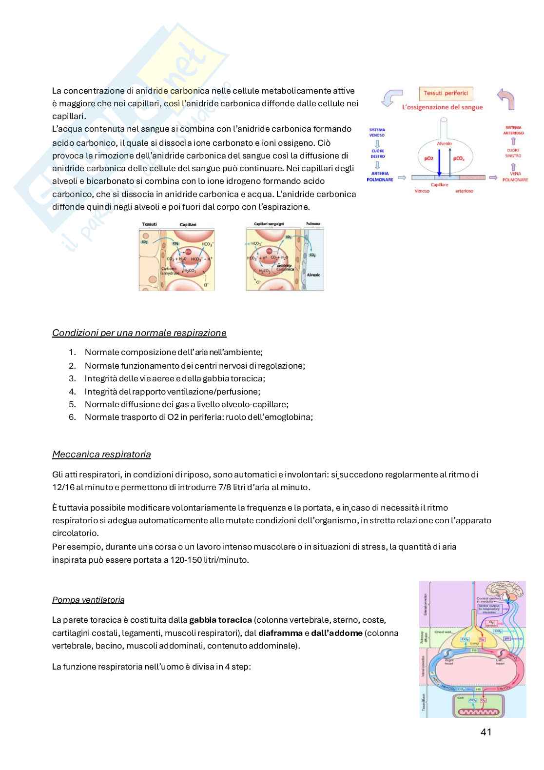 Principi di medicina e nutrizione Pag. 41