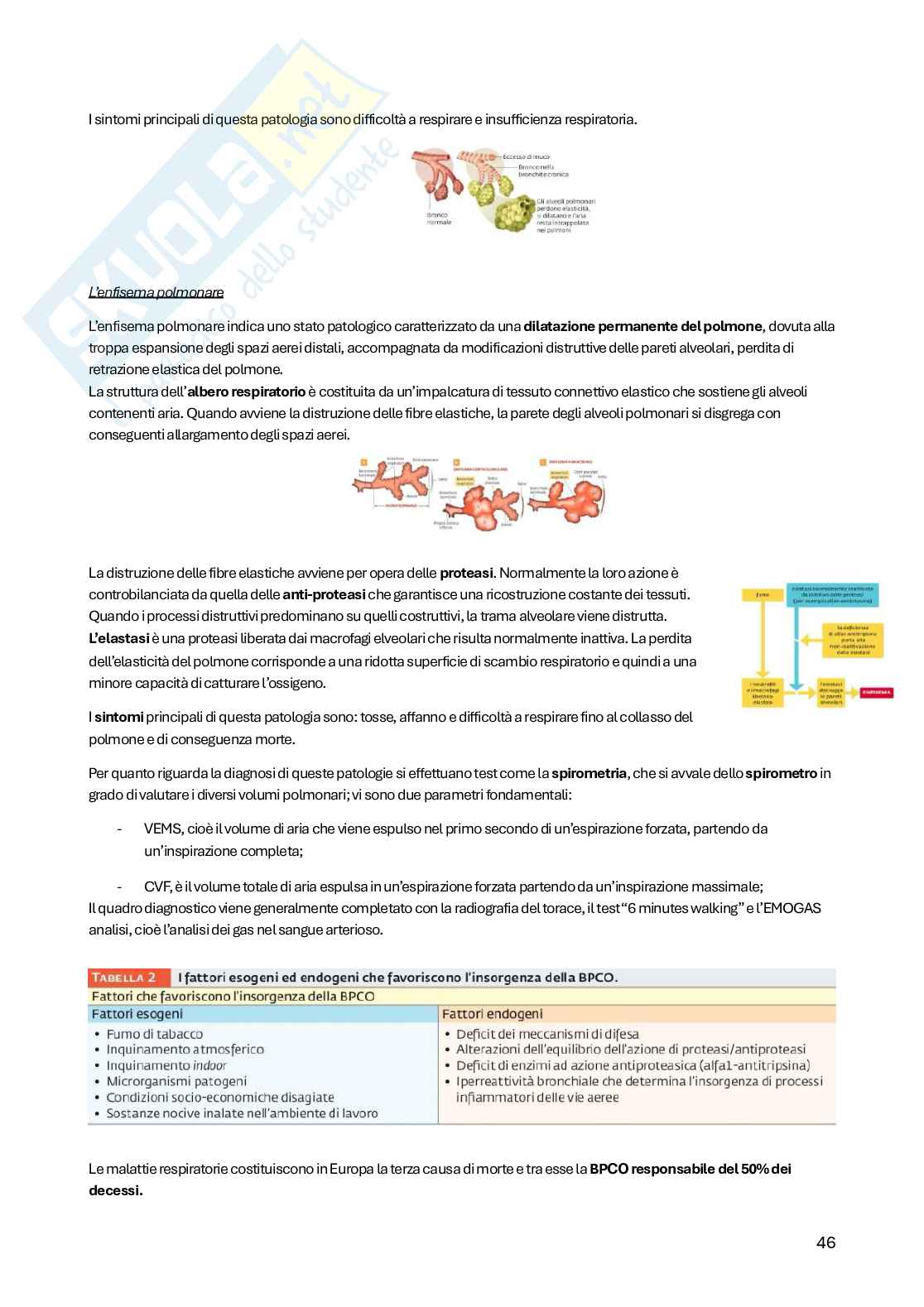 Principi di medicina e nutrizione Pag. 46