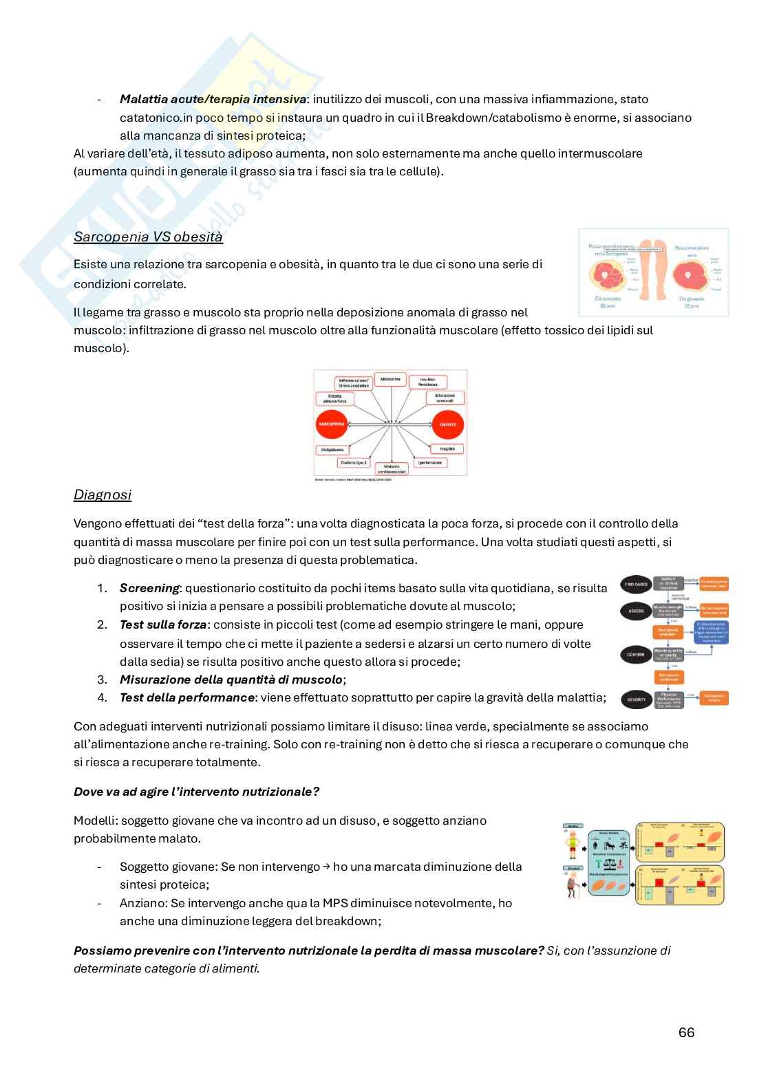 Principi di medicina e nutrizione Pag. 66