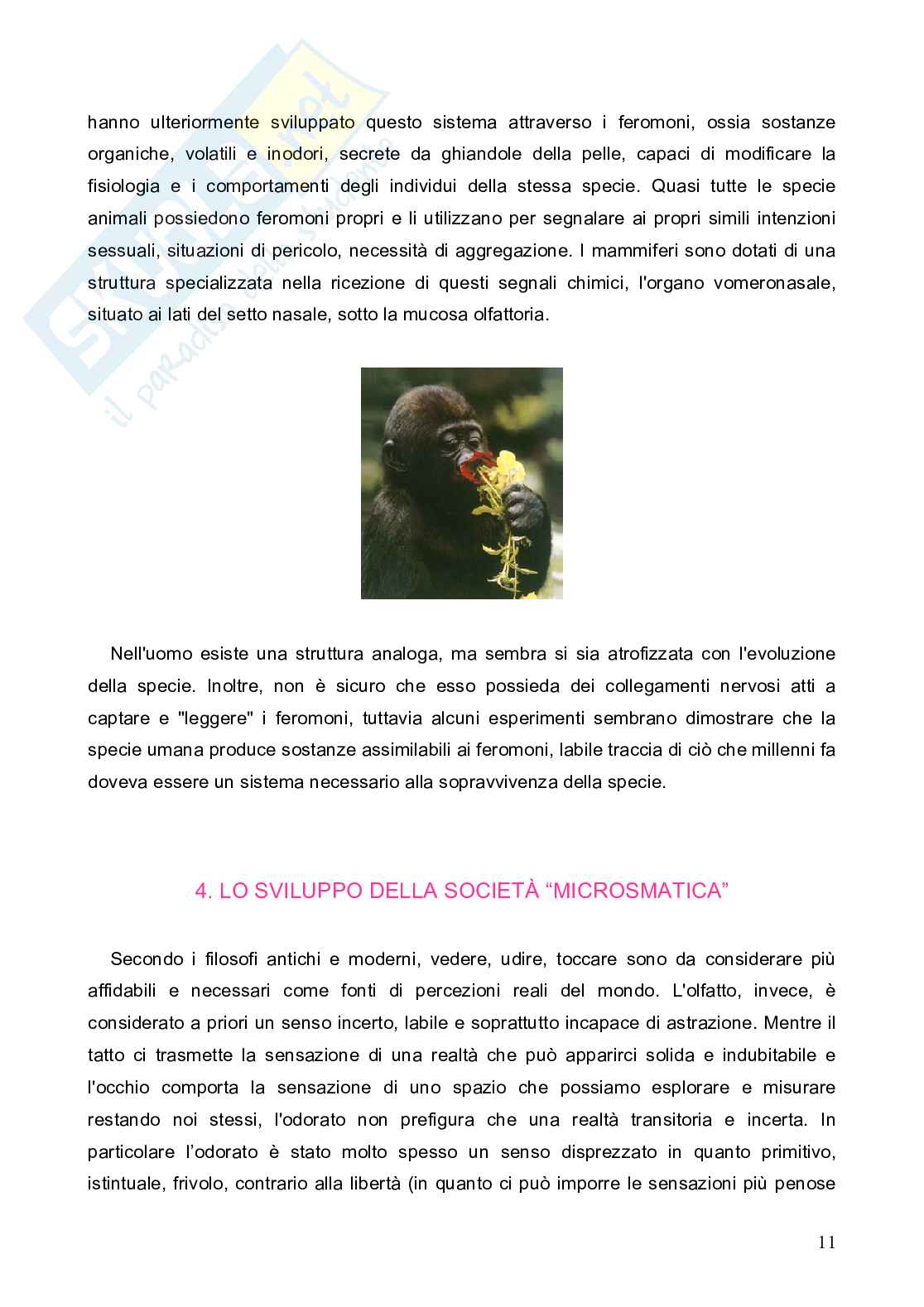 Il mondo dei profumi Pag. 11