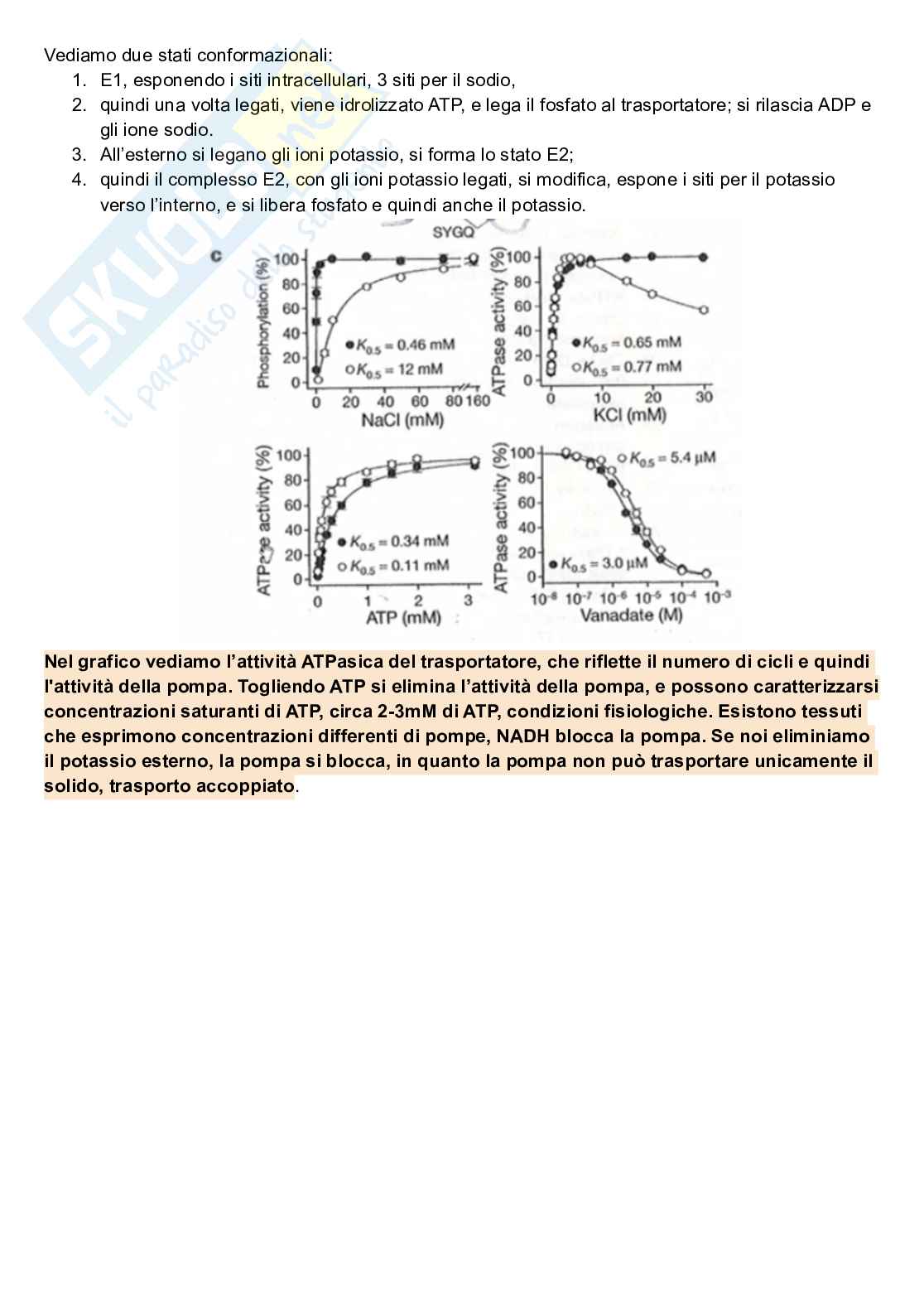 Appunti di Fisiologia generale Pag. 31