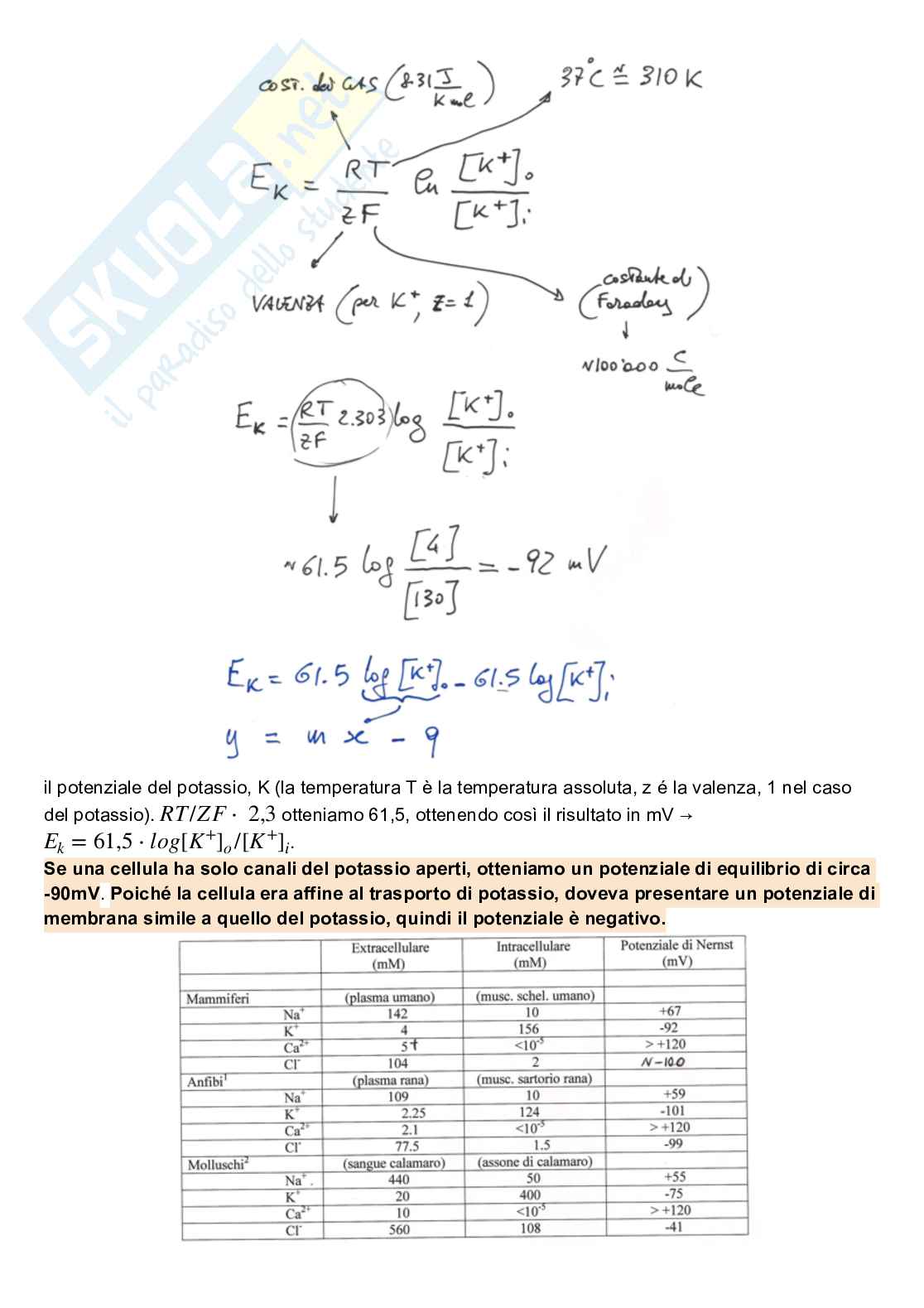 Appunti di Fisiologia generale Pag. 41