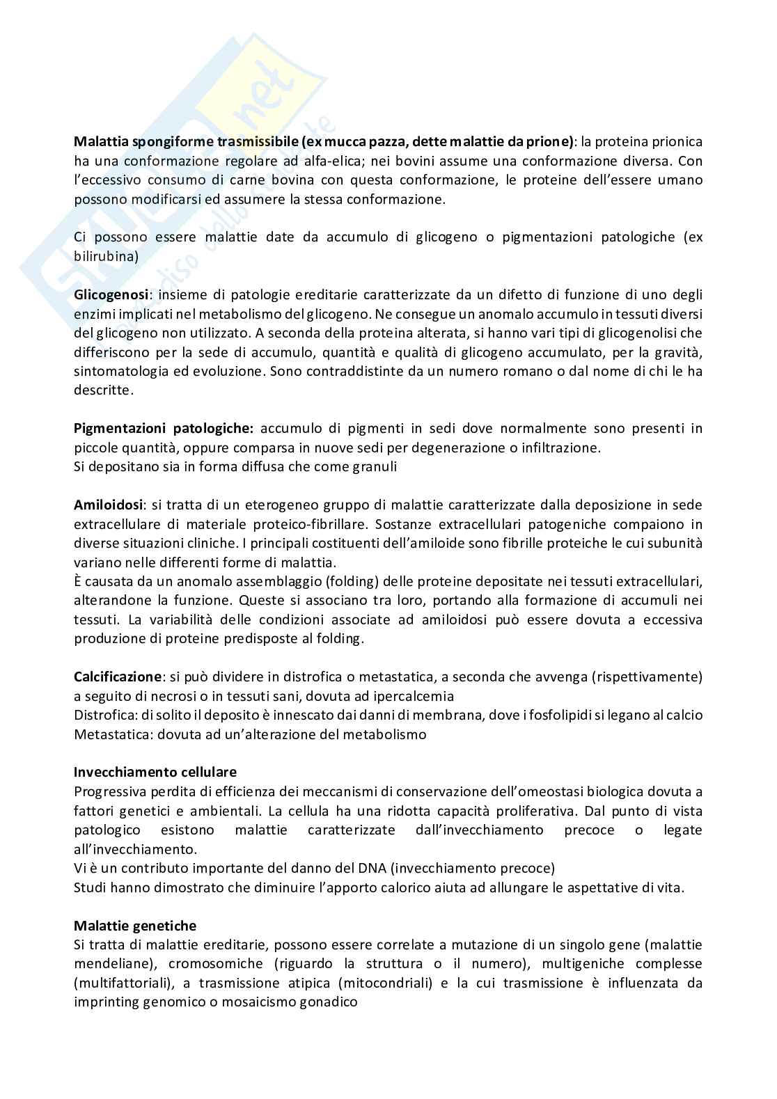appunti di patologia generale, immunologia e medicina trasfusionale Pag. 6