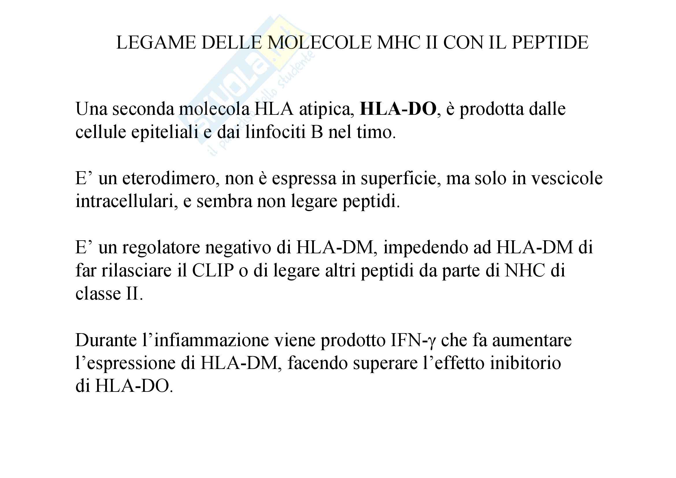 Immunologia - peptidi classe II Pag. 11