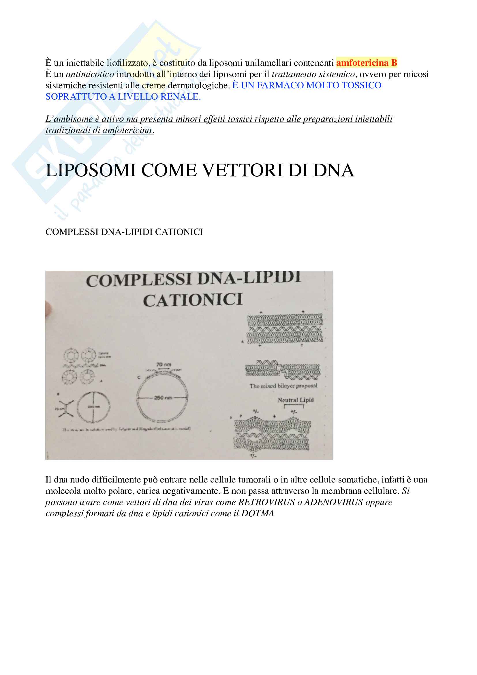 Liposomi, appunti Pag. 21