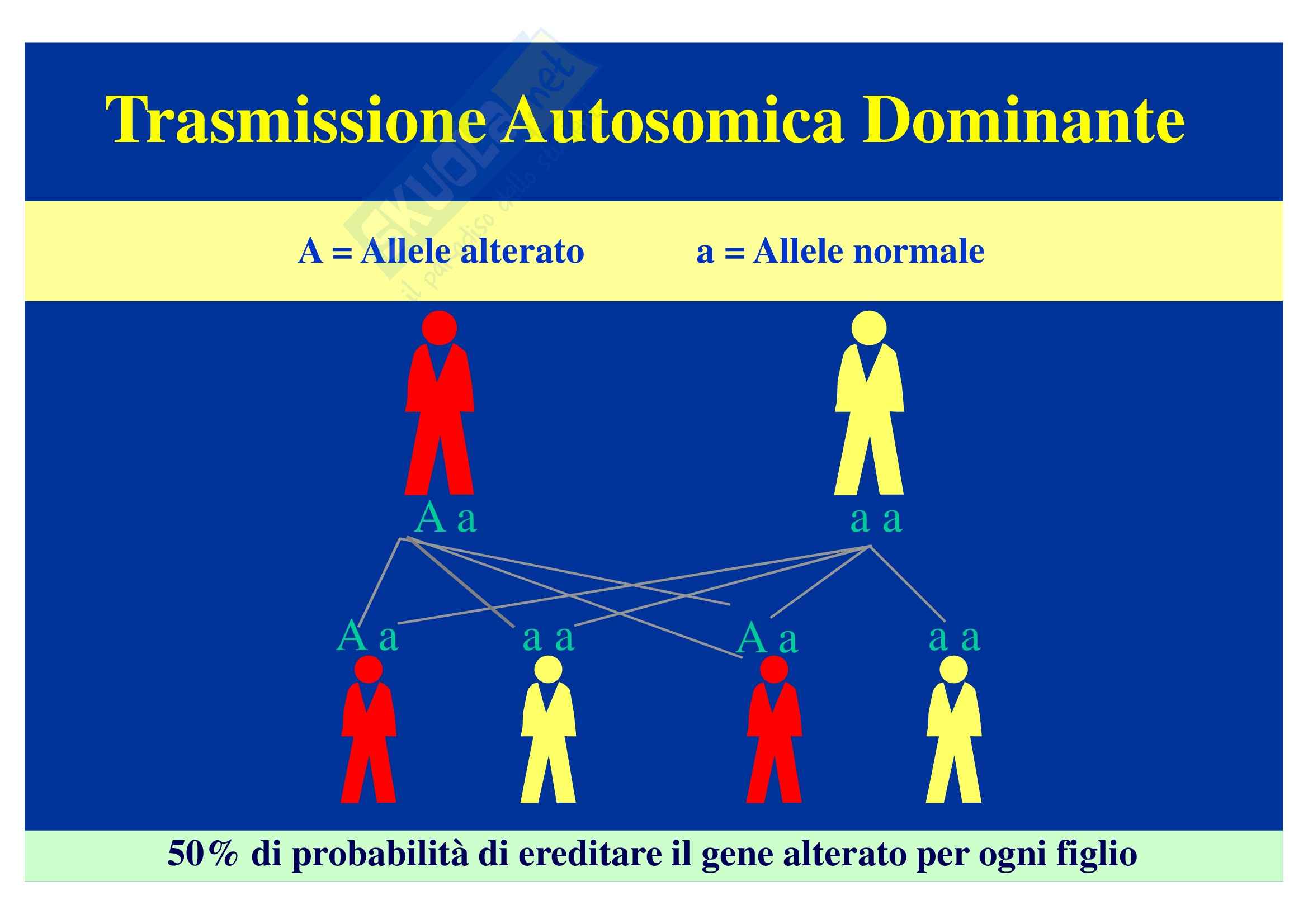 Genetica medica -  nozioni generali Pag. 11