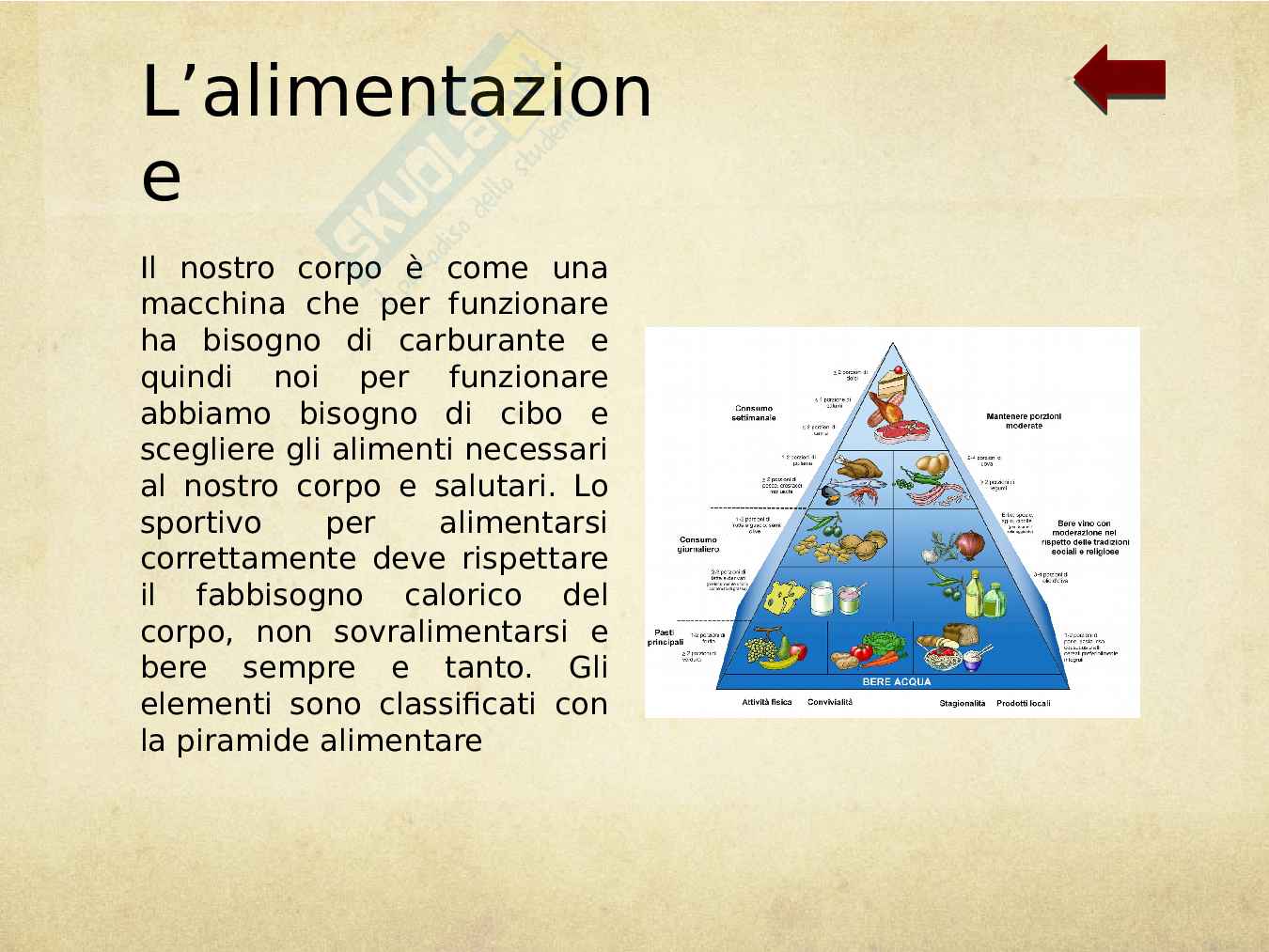 Tesina terza media Giuseppe Verdi Pag. 36
