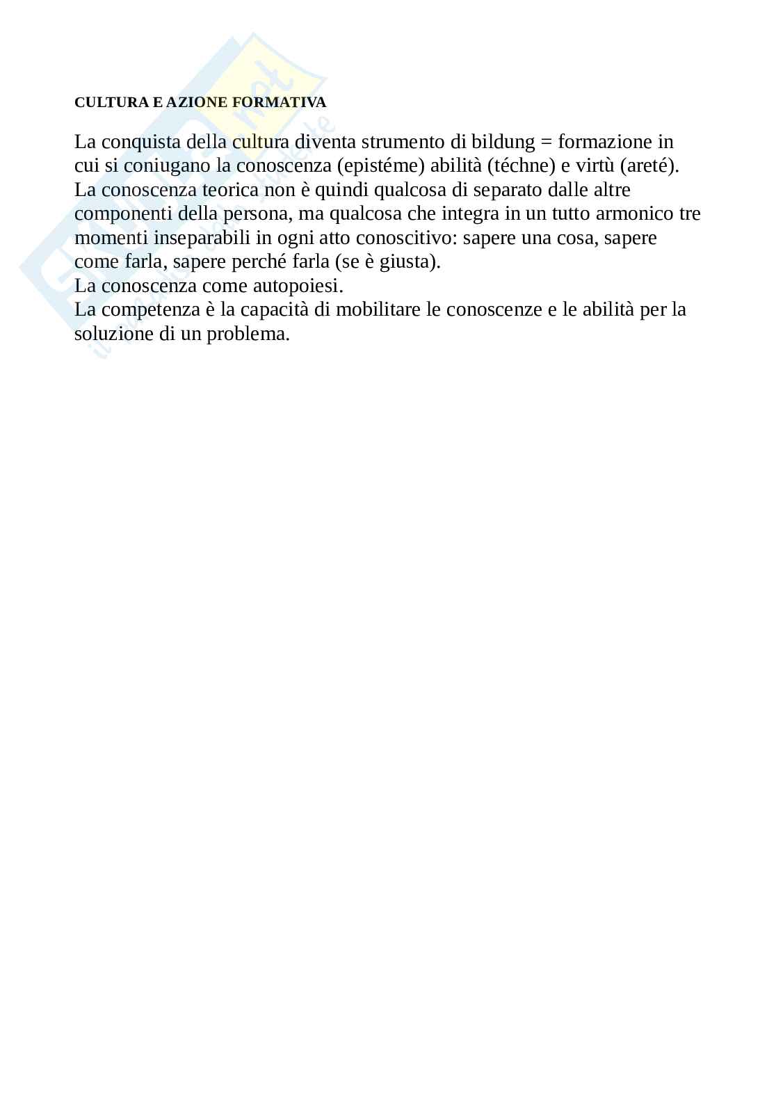 Teoria della cultura Pag. 2