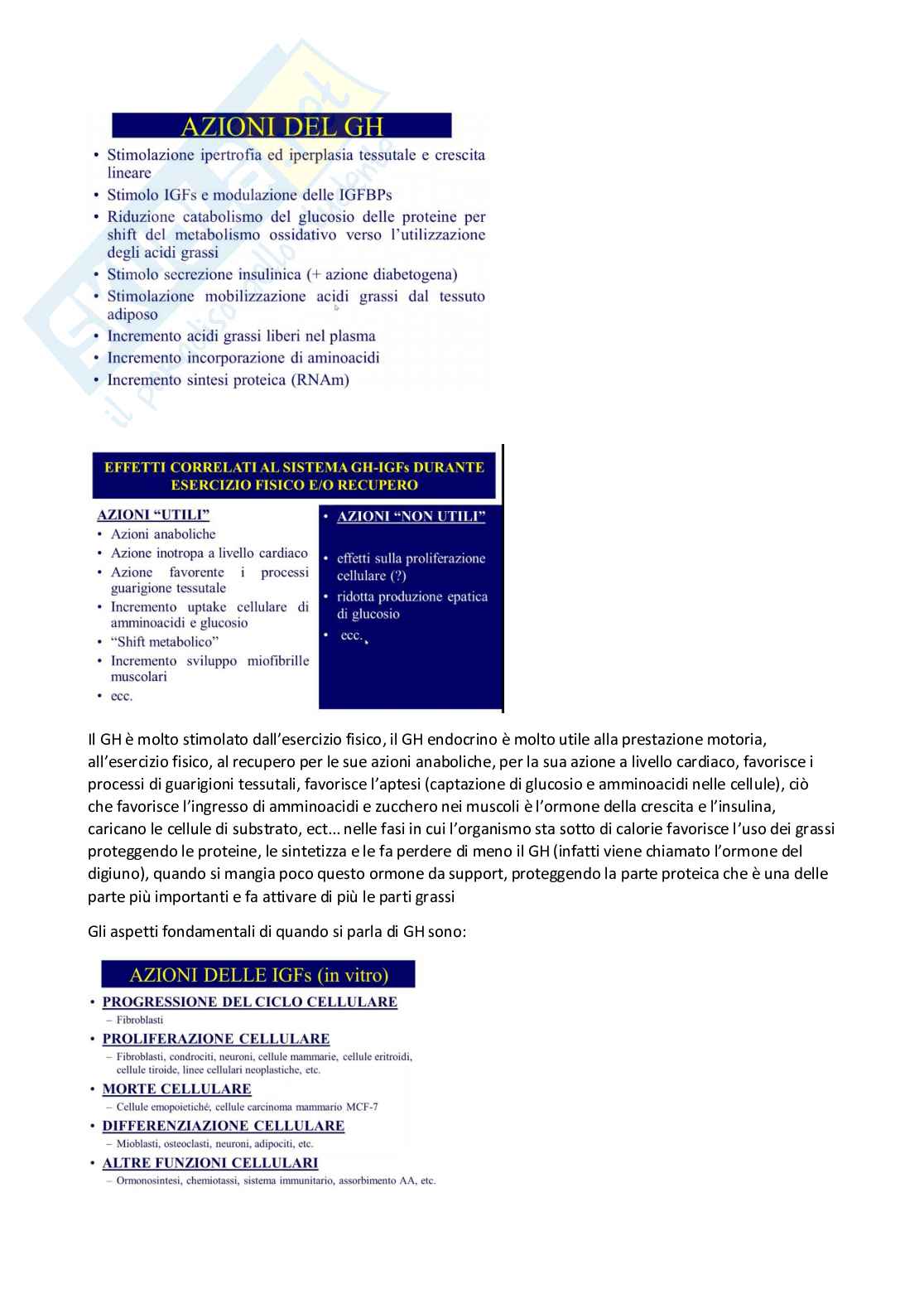 Endocrinologia Pag. 26