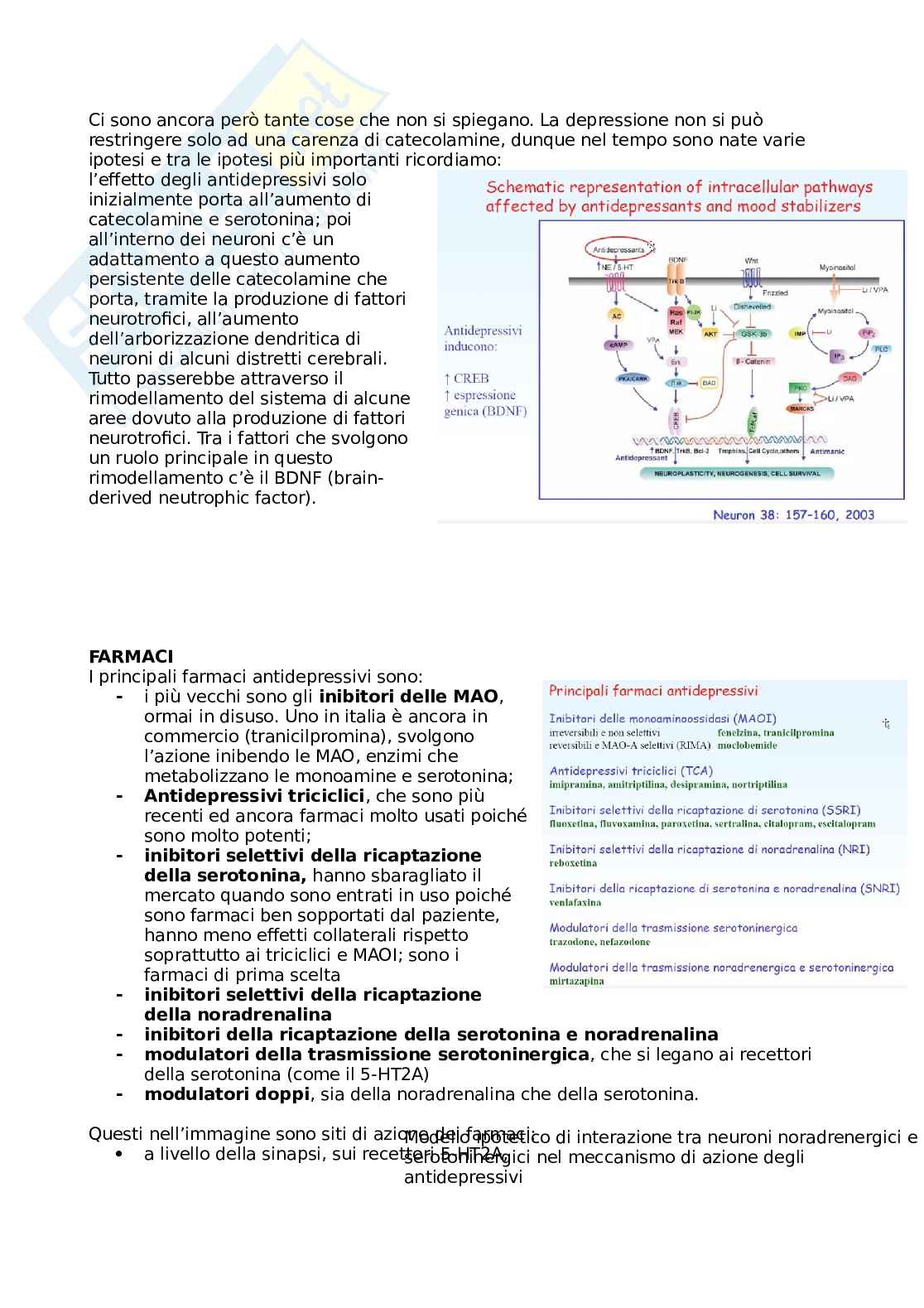 Farmaci antidepressivi Pag. 2