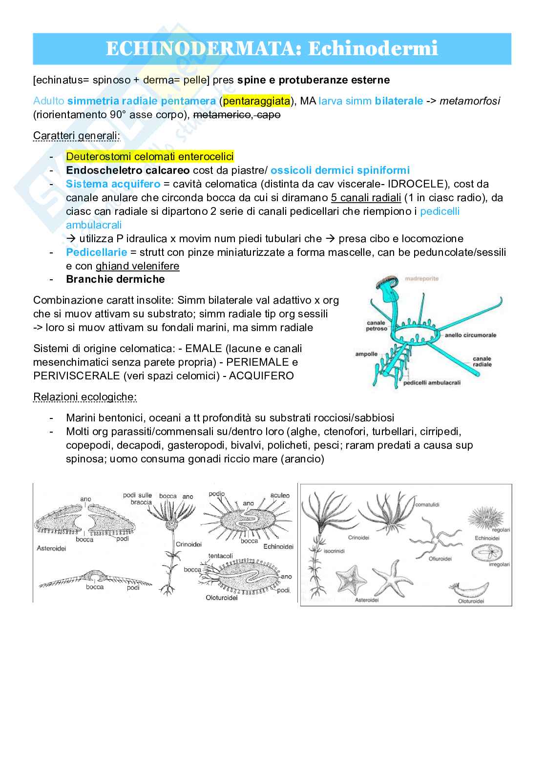 Zoologia sistematica  Pag. 1