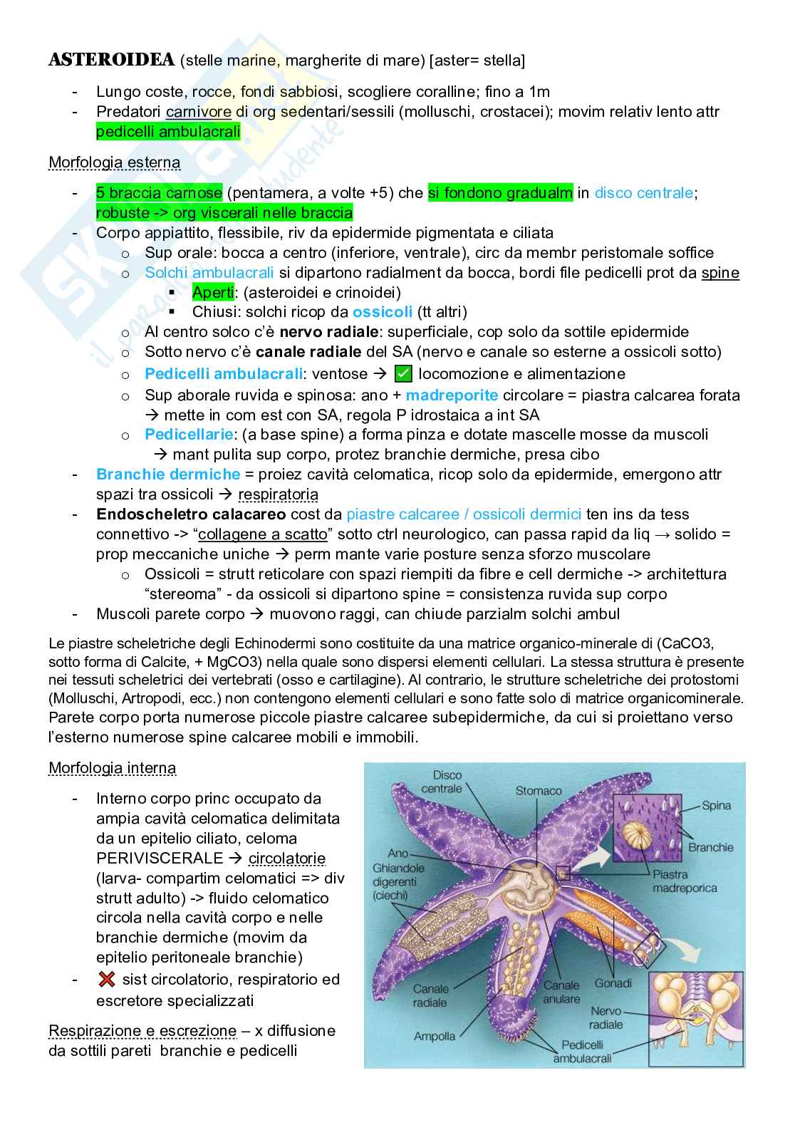 Zoologia sistematica  Pag. 2