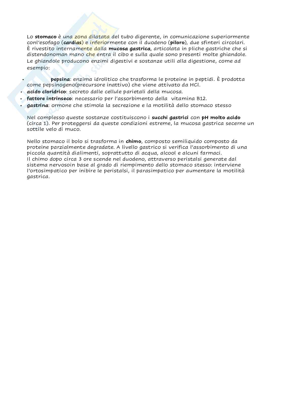 Anatomia - Organi e sistemi  Pag. 21