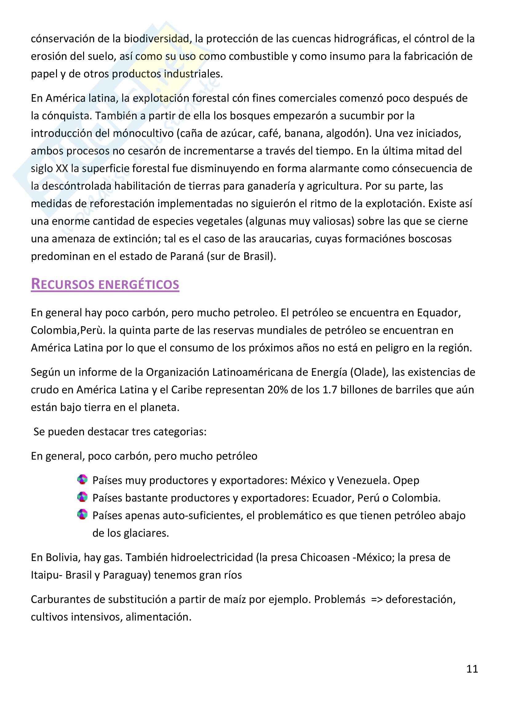 Società e cultura, Lingua, cultura e istituzioni dei Paesi di lingua spagnola Pag. 11