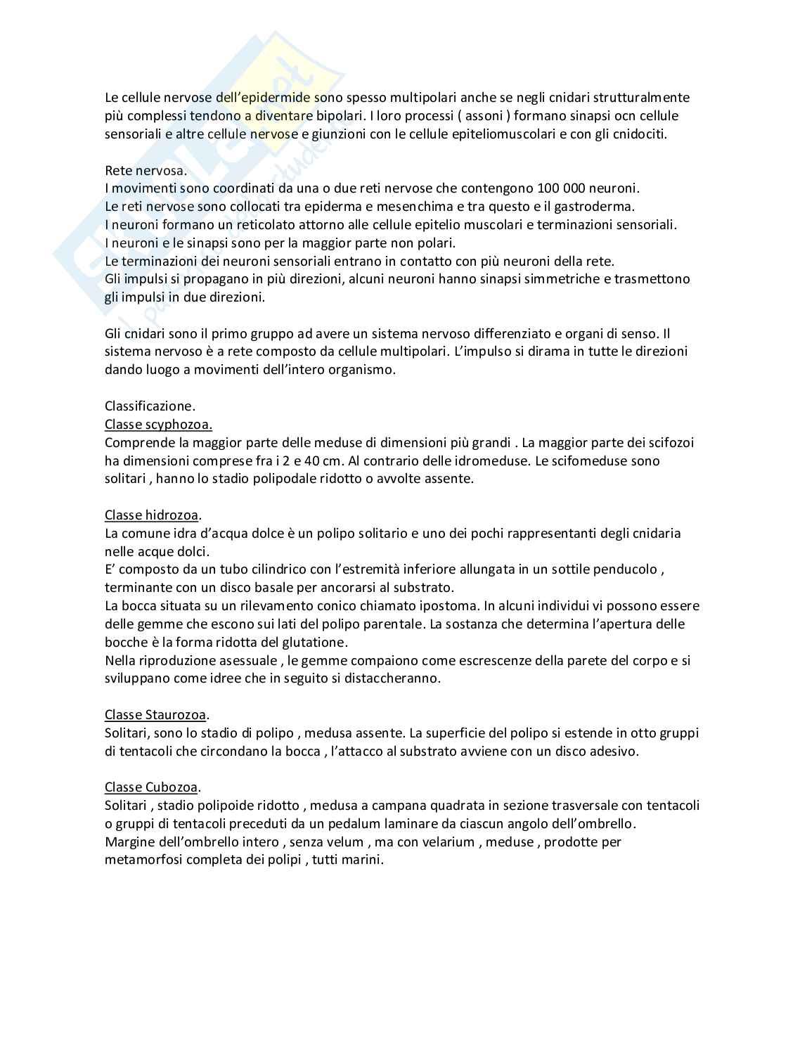 Zoologia Pag. 26