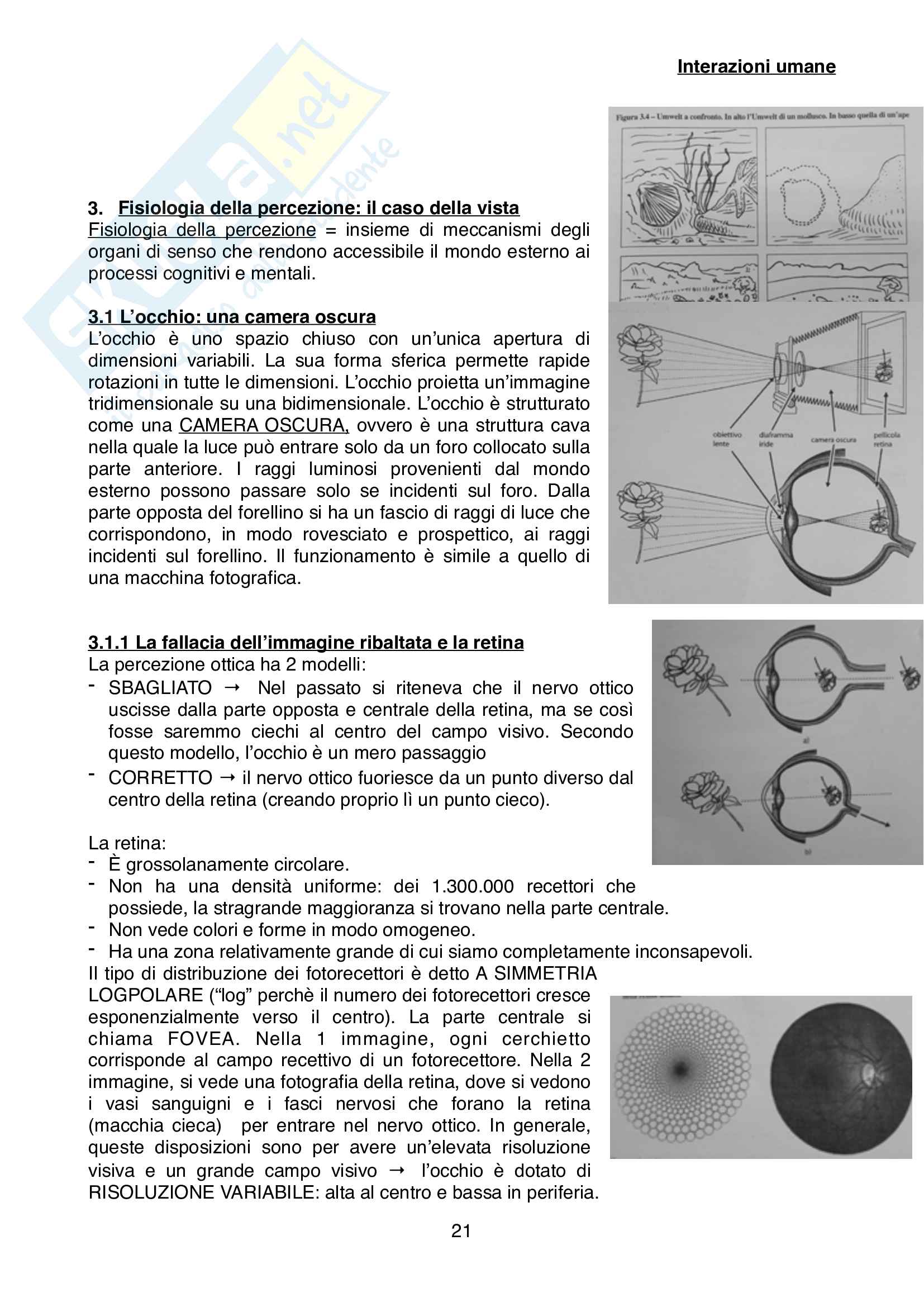 Riassunto esame Psicologia della comunicazione, Prof. Moderato, libro consigliato Interazioni Umane, Moderato Pag. 21