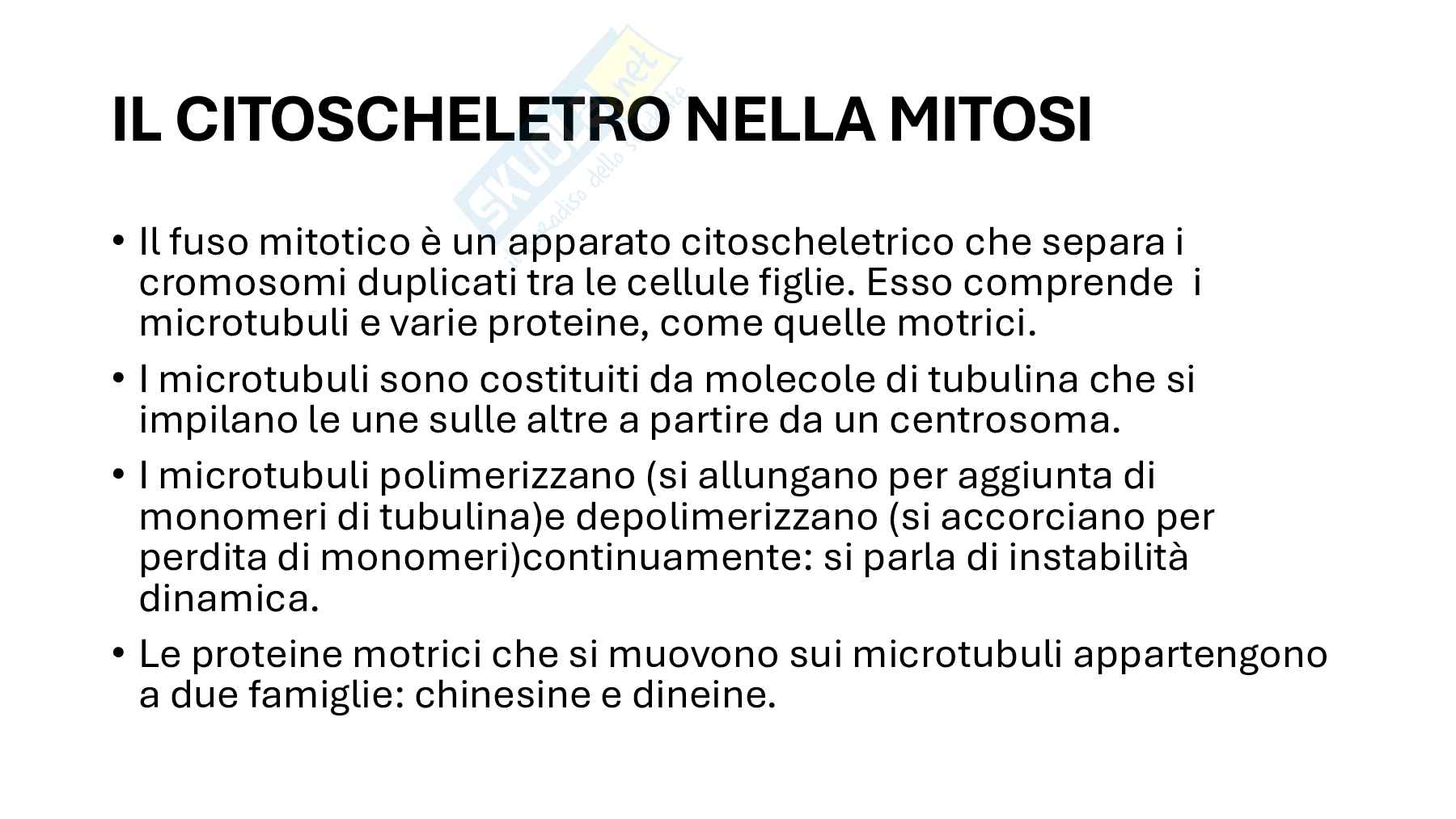 Divisione cellulare: scissione binaria nei batteri e mitosi negli eucarioti Pag. 11