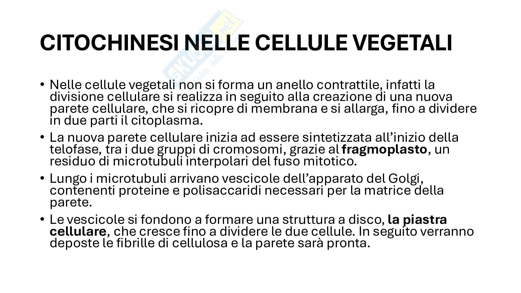 Divisione cellulare: scissione binaria nei batteri e mitosi negli eucarioti Pag. 31