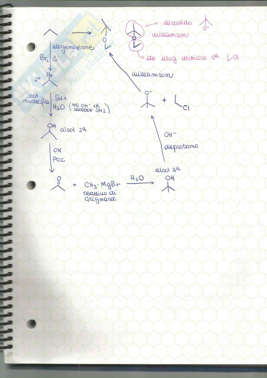 Chimica organica - esercizi e mappe concettuali  Pag. 1
