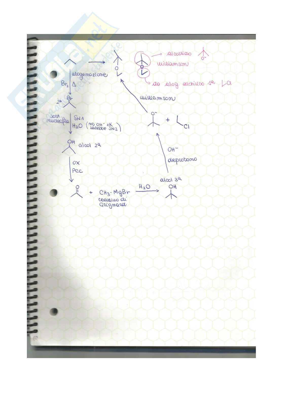 Chimica organica - esercizi e mappe concettuali  Pag. 2