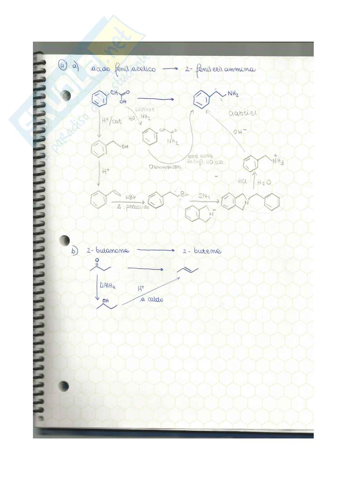 Chimica organica - esercizi e mappe concettuali  Pag. 26